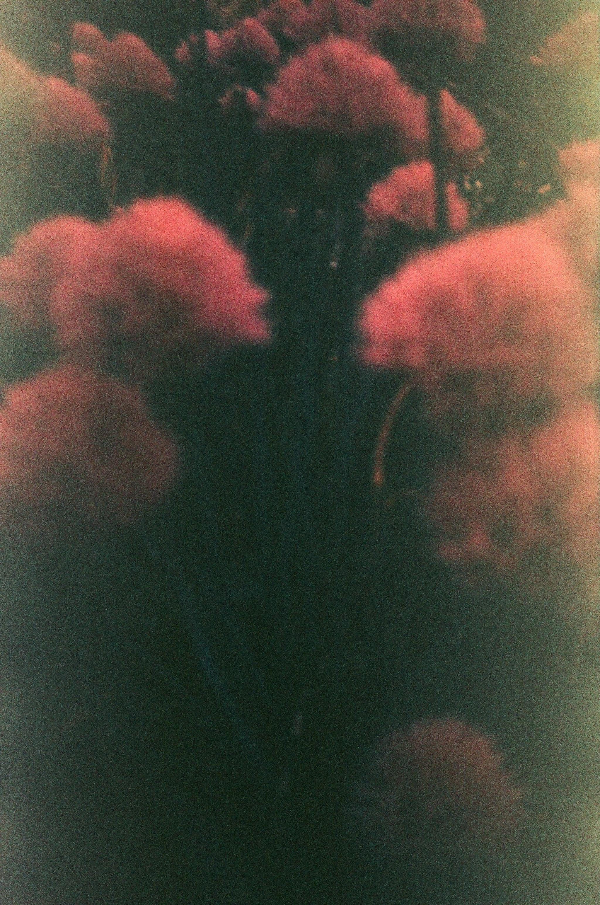 День за днем. Фотограф Тимофеева Юлия