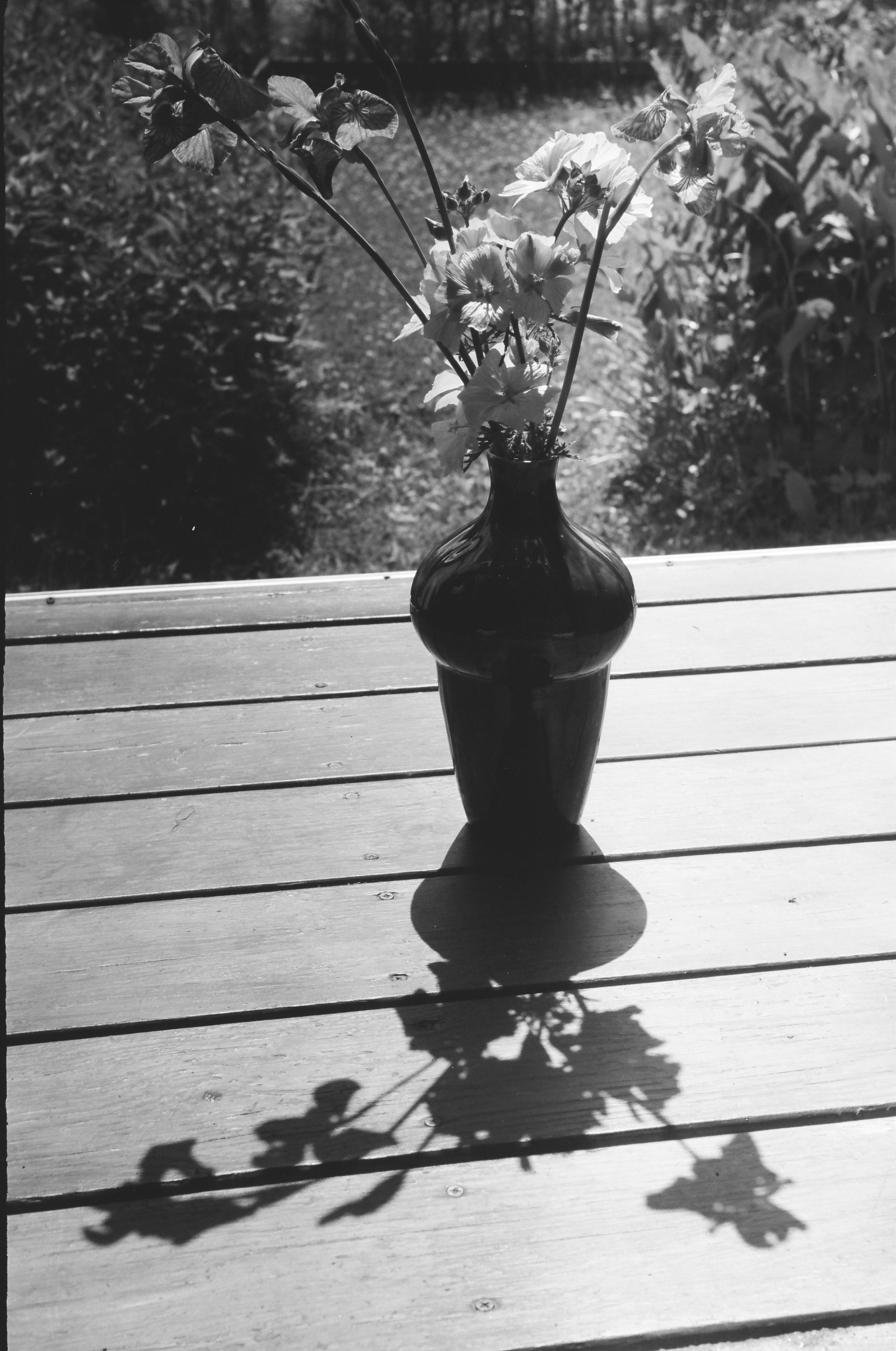 День за днем. Фотограф Тимофеева Юлия