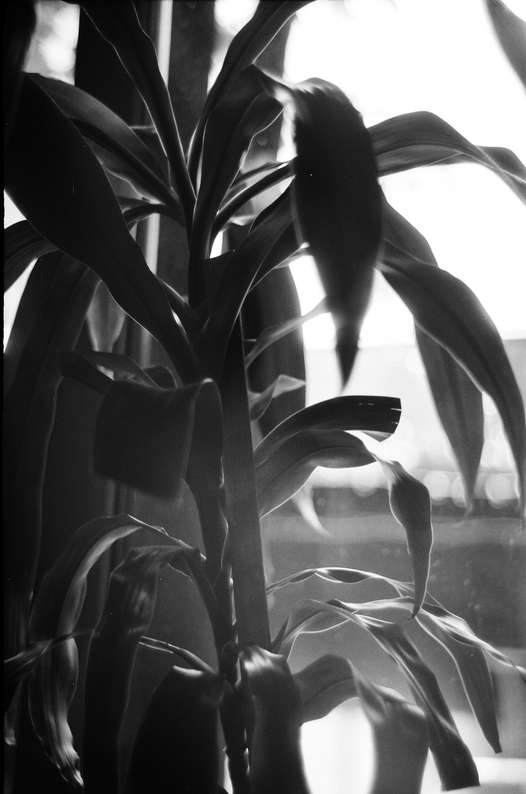 День за днем. Фотограф Тимофеева Юлия