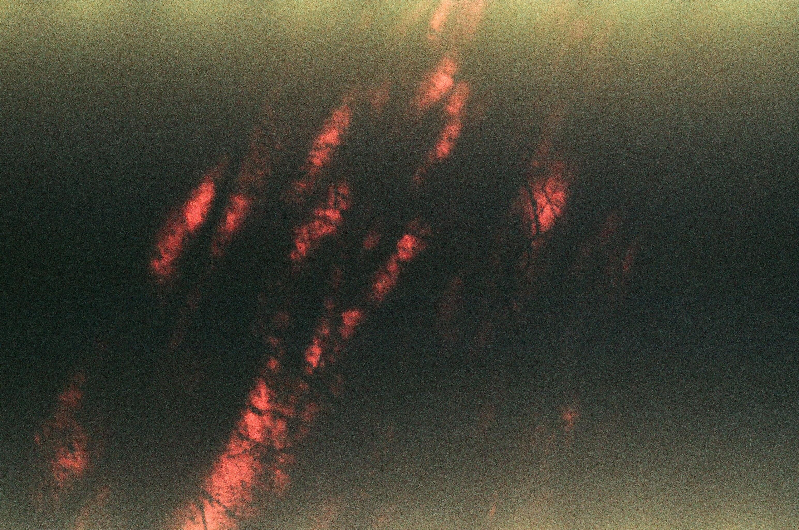 День за днем. Фотограф Тимофеева Юлия