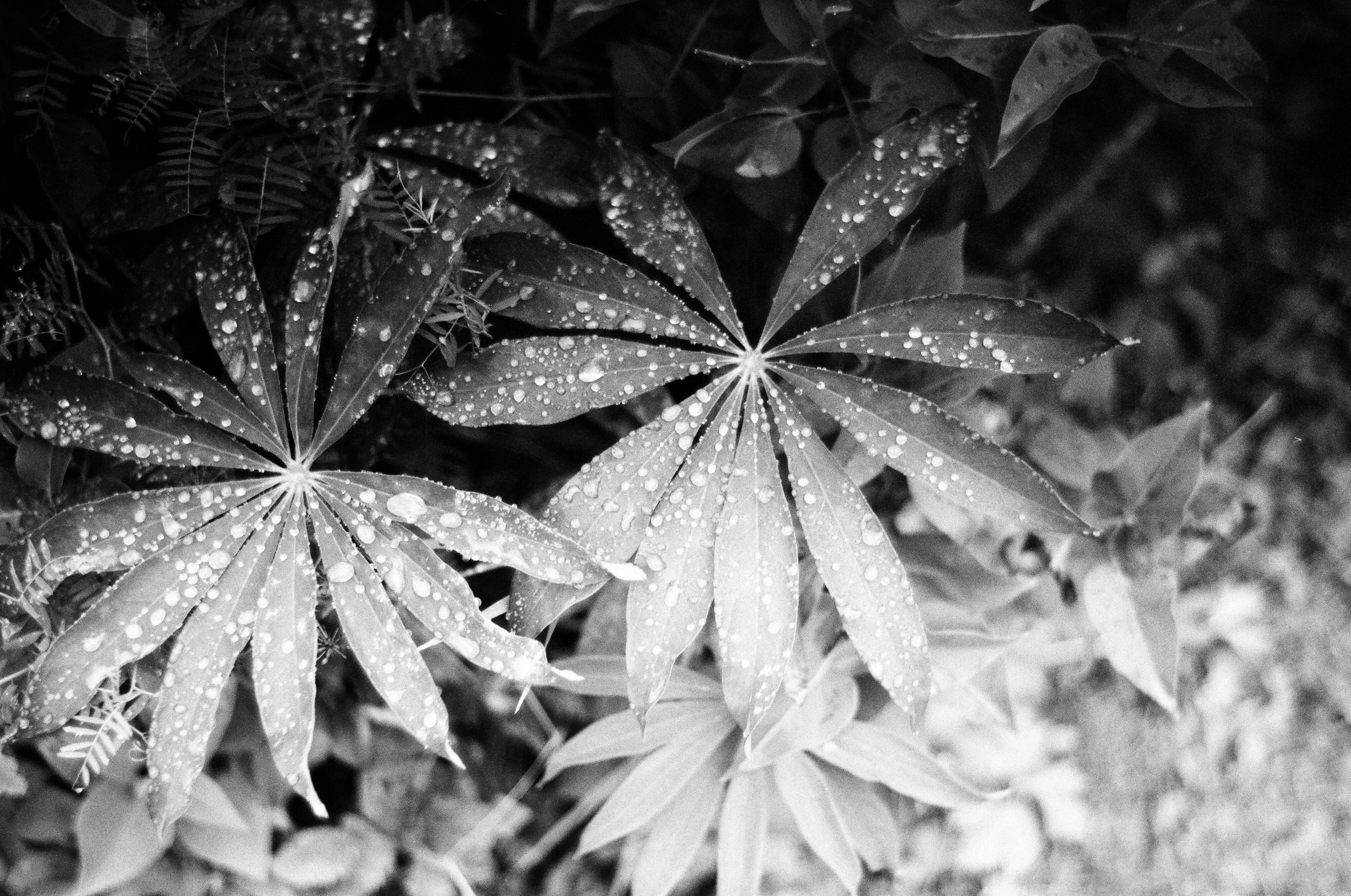 День за днем. Фотограф Тимофеева Юлия