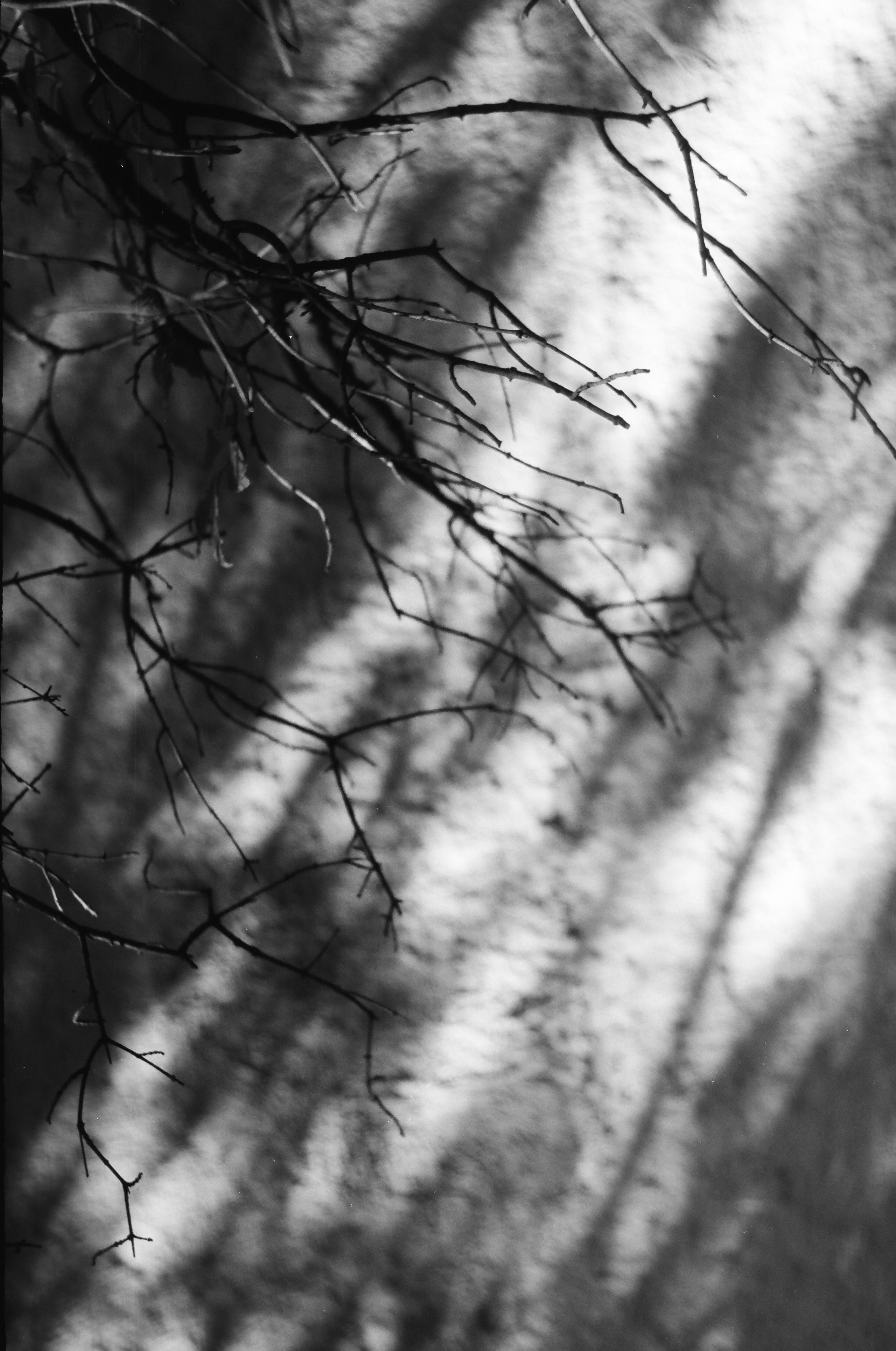 День за днем. Фотограф Тимофеева Юлия