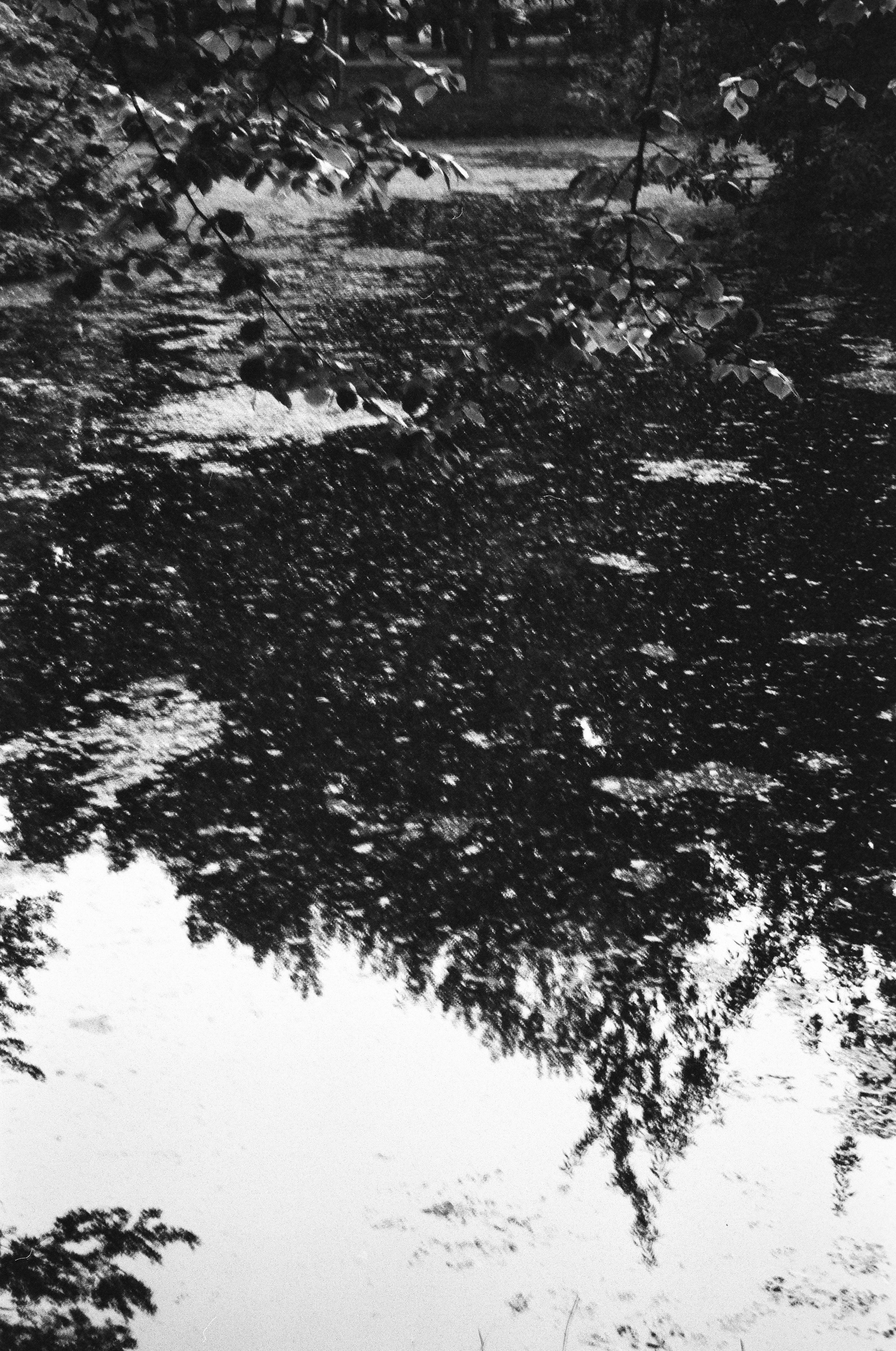 День за днем. Фотограф Тимофеева Юлия