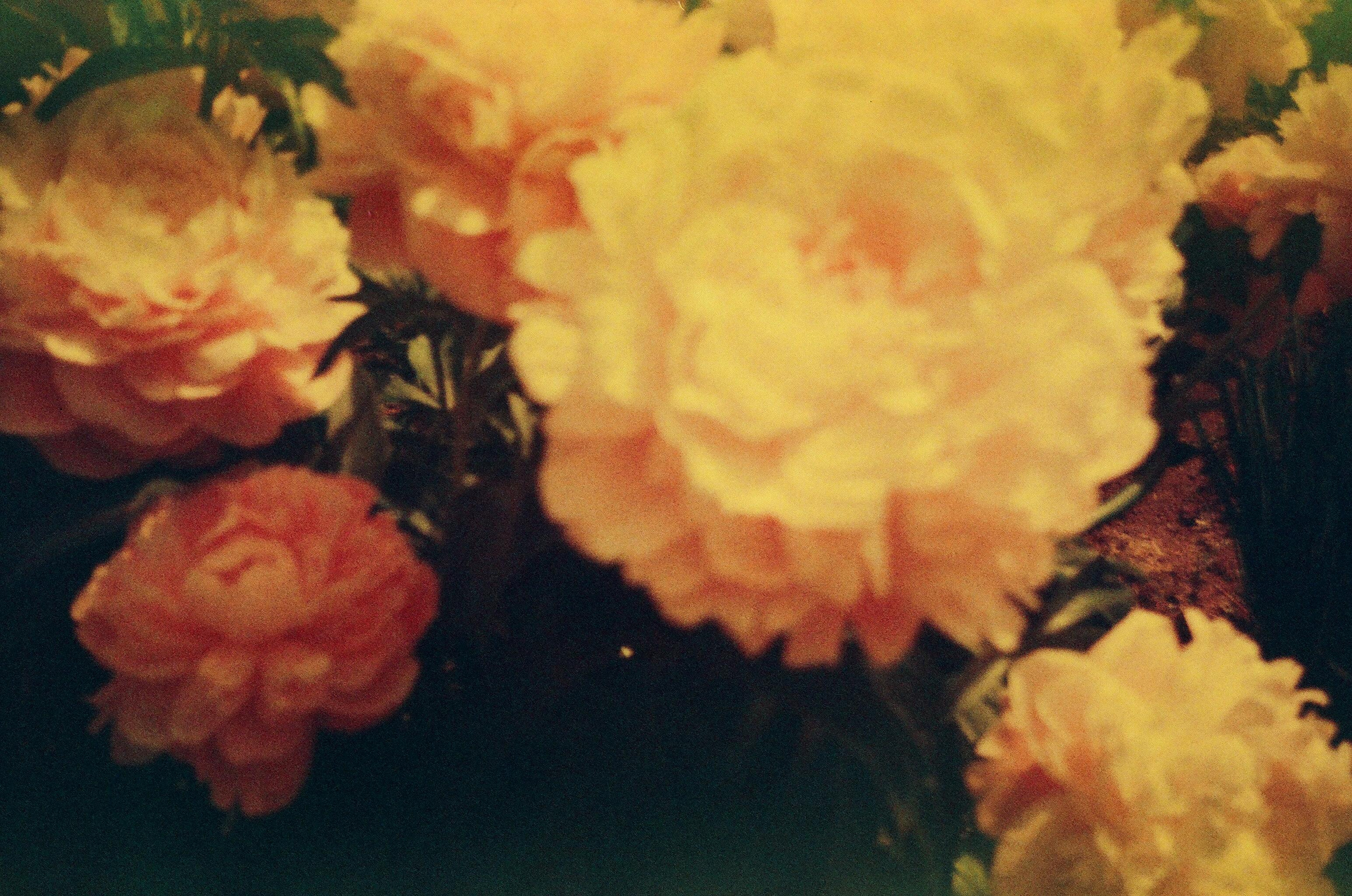 День за днем. Фотограф Тимофеева Юлия