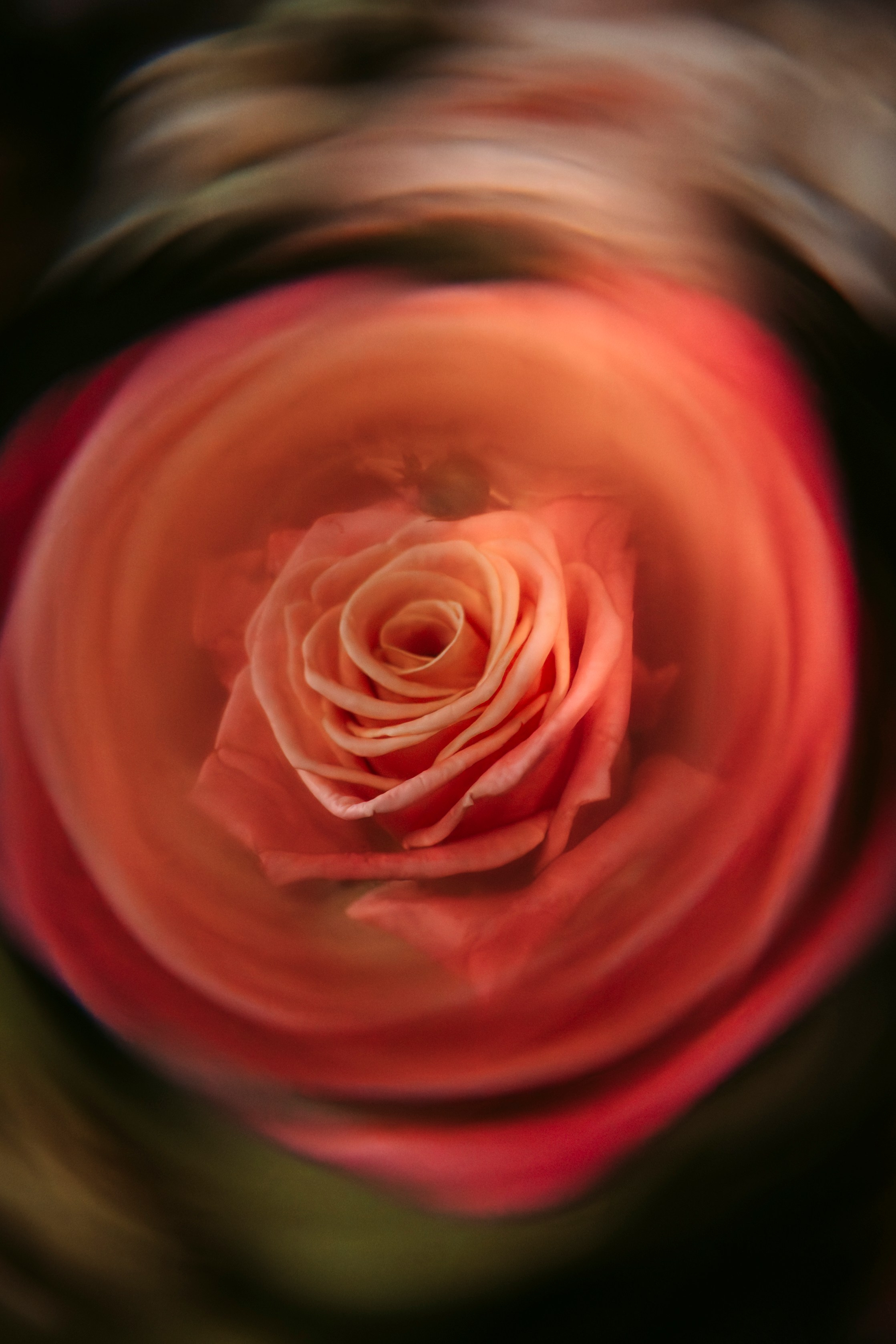 Цветочный андеграунд. Главная