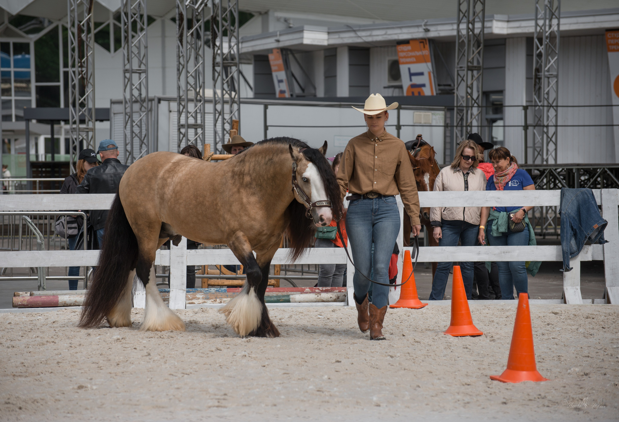 Эквирос, Москва. Конный фотограф в Саратове Юлия Иванова