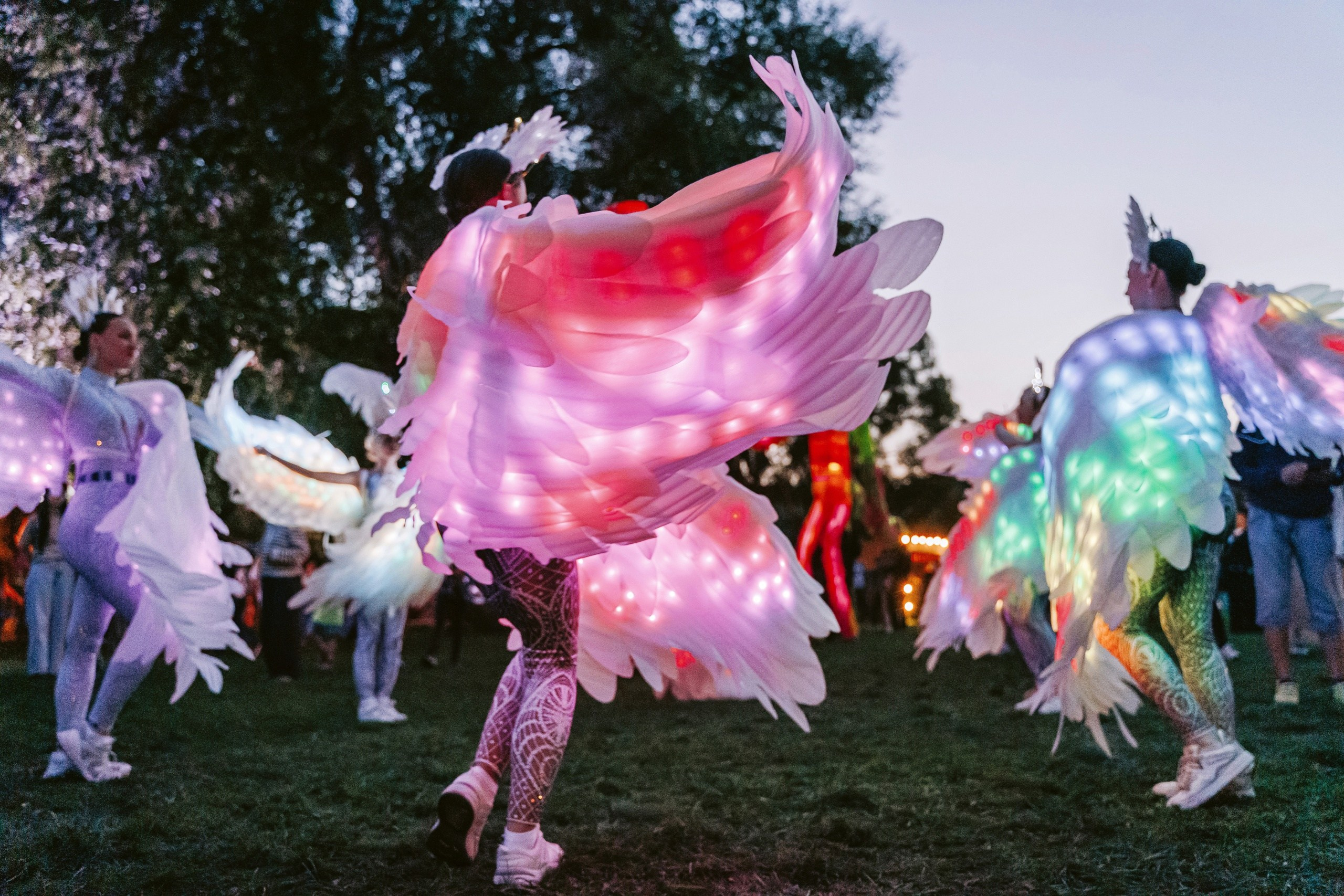 Dream Fest. Photographer Natalia Baranova