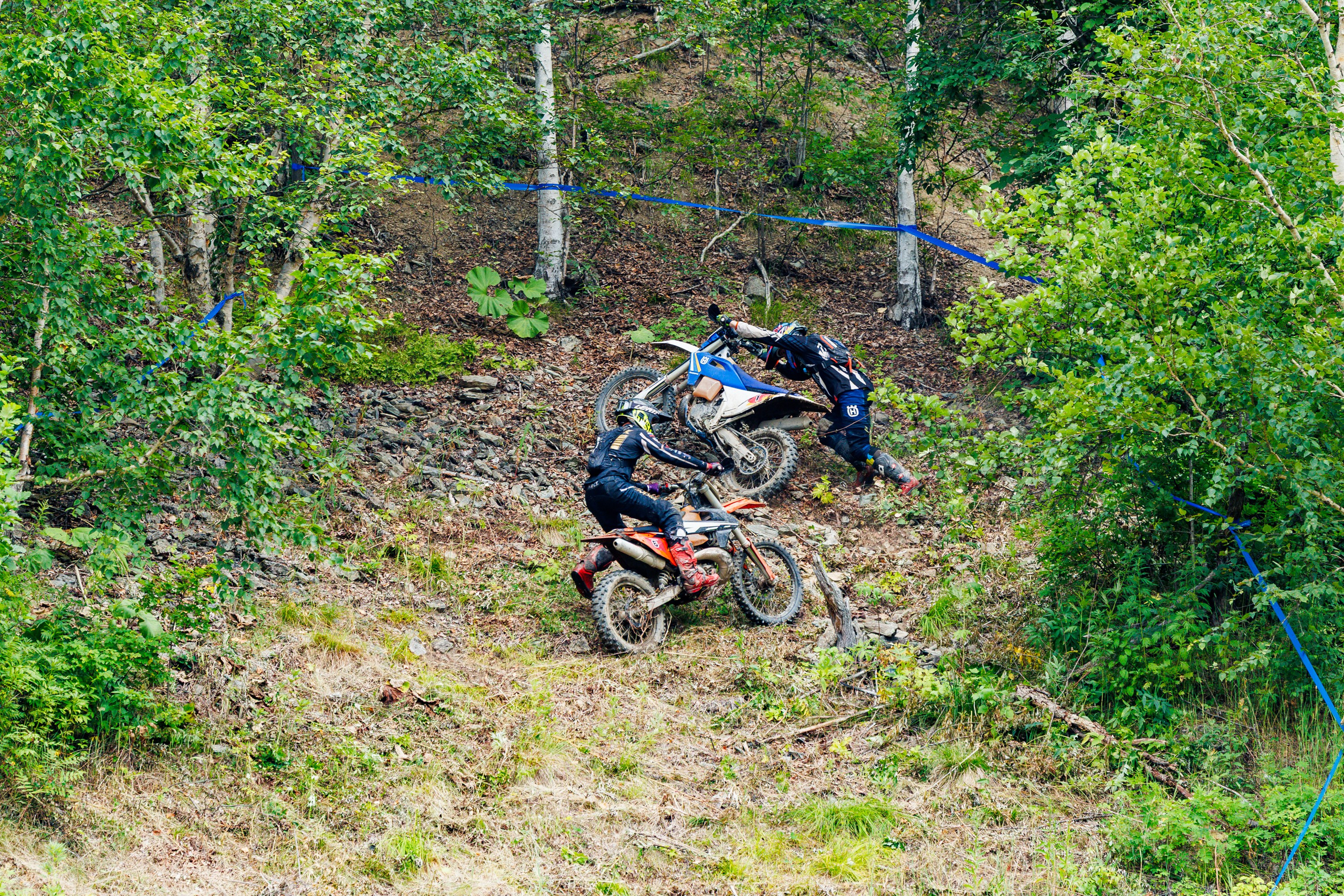 NPR-2025. Свадебный, семейный и репортажный фотограф в Южно-Сахалинске Артур Петросян