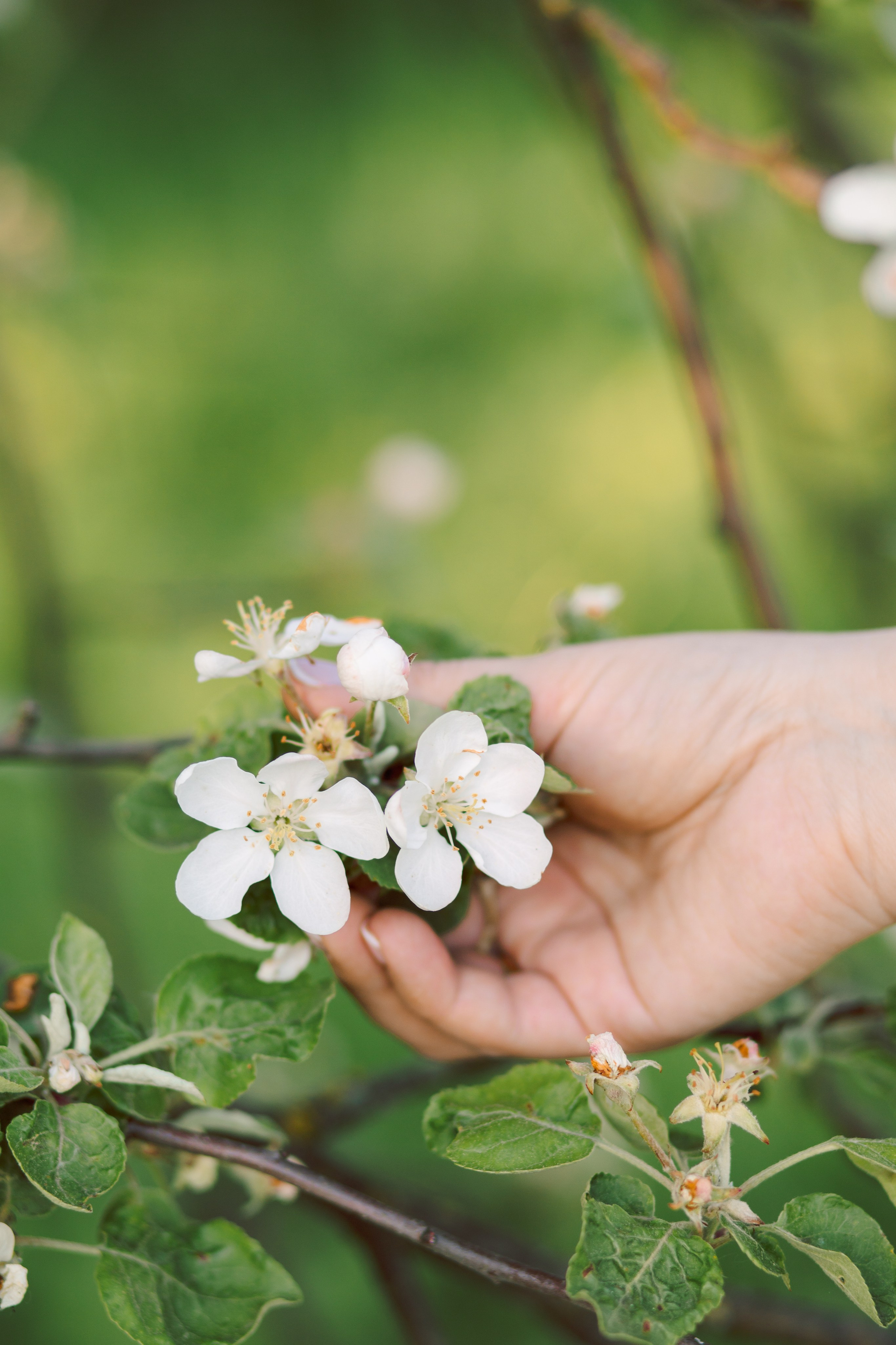 Татьяна. Весна 2025 год. Елена Котлярова фотограф г. Сергиев Посад