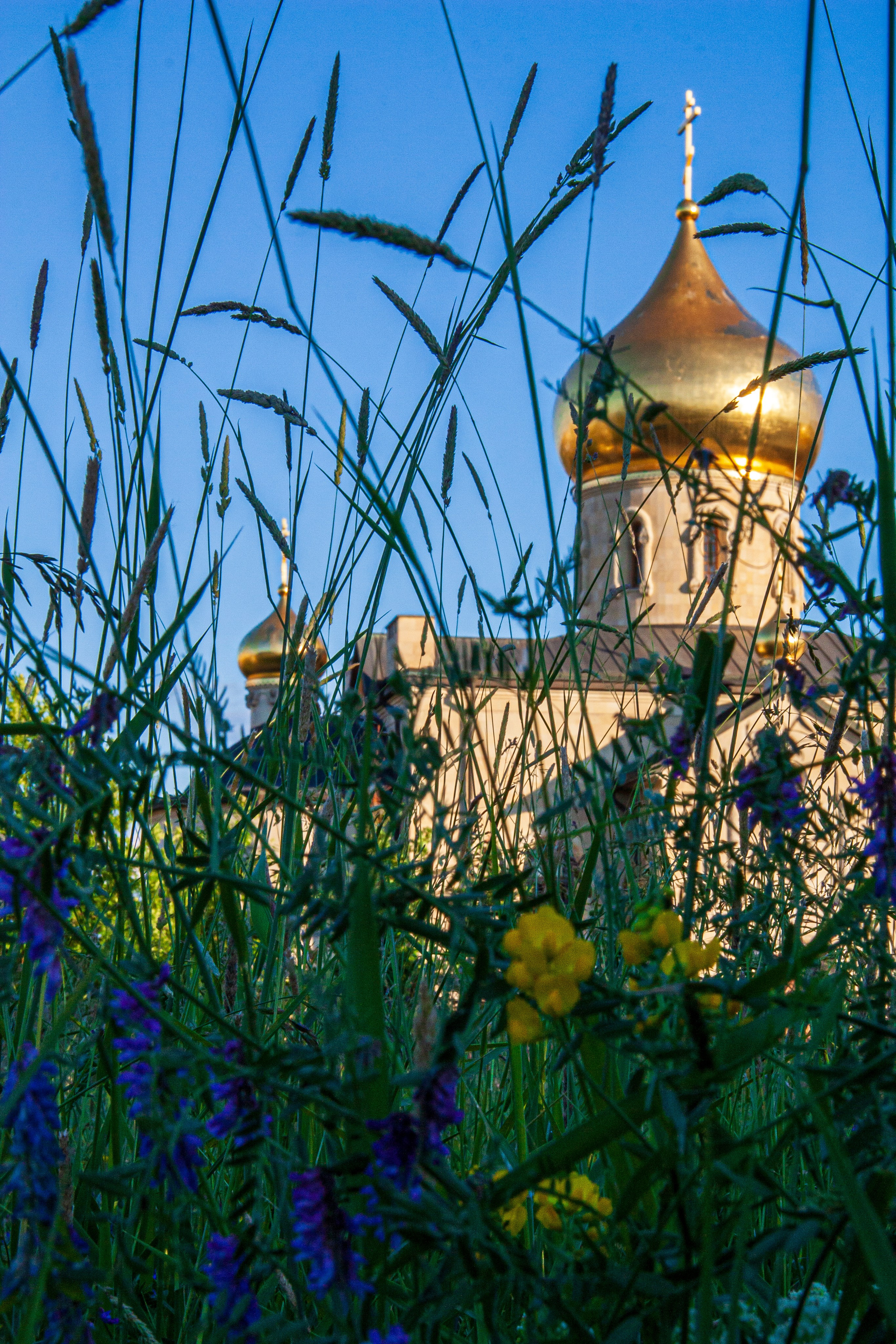 Пейзаж. Фотограф Люся Воробьева