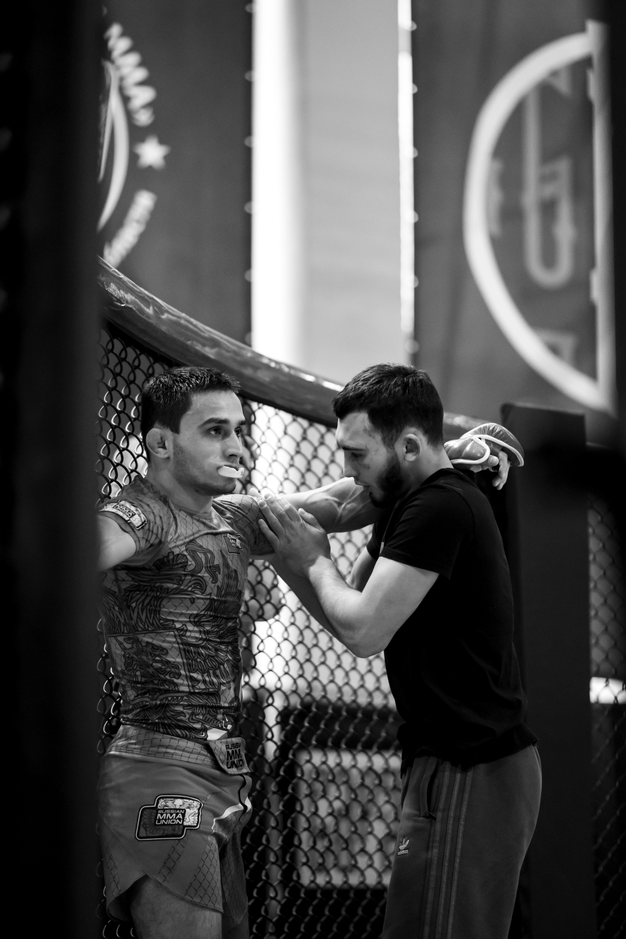 Всероссийский турнир ММА. Новомосковск, ноябрь 2025. Спортивный фотограф в Туле и Тульской области. Файсханова Фото Спорт