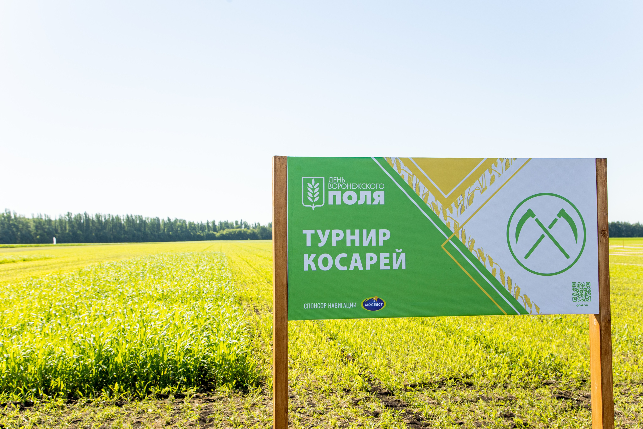 День Поля 2022. Владислав Волков | Фотография и видеосъемка в Воронеже