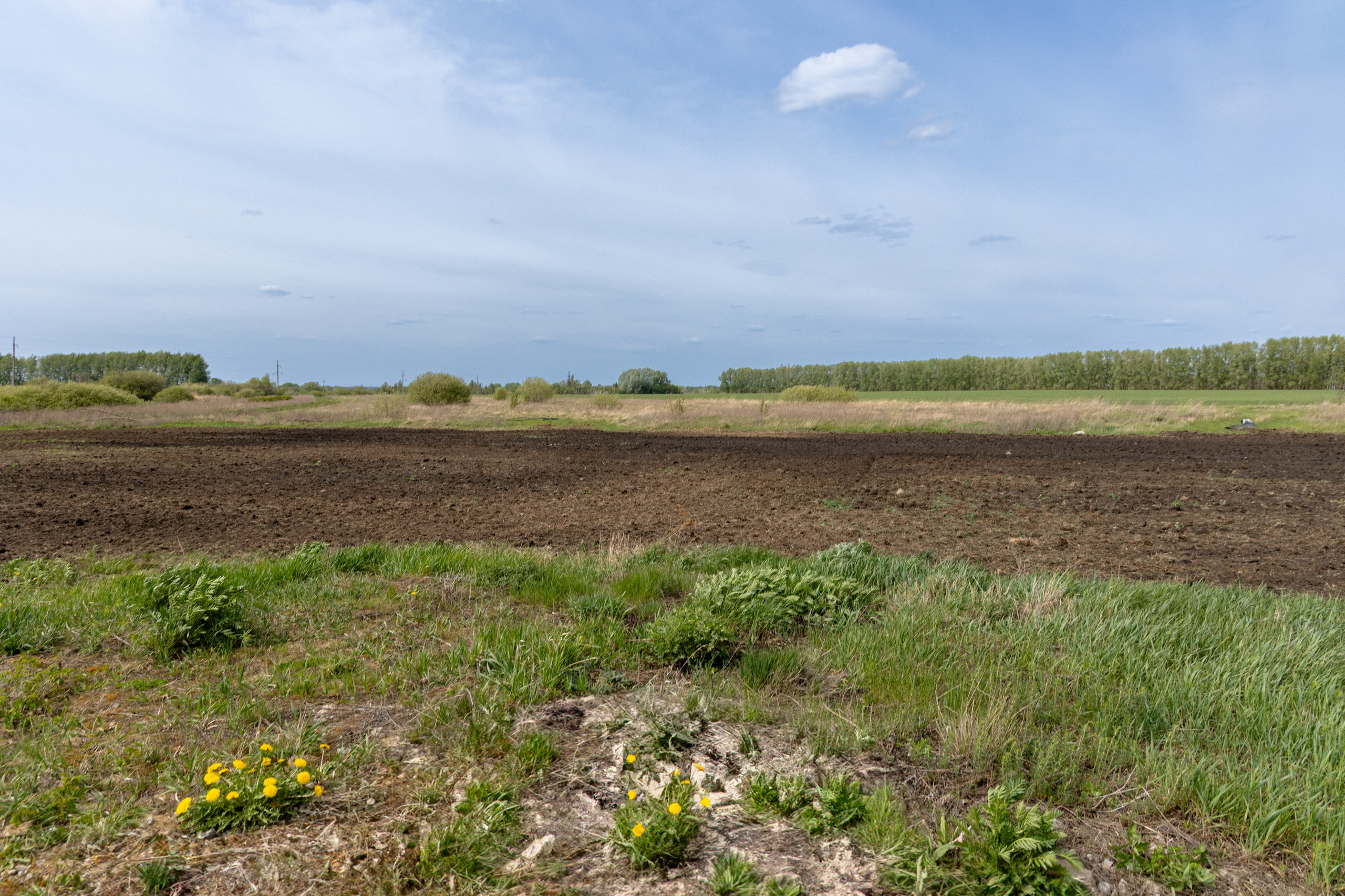 Земельный участок с объектами на нём. Владислав Волков | Фотография и видеосъемка в Воронеже