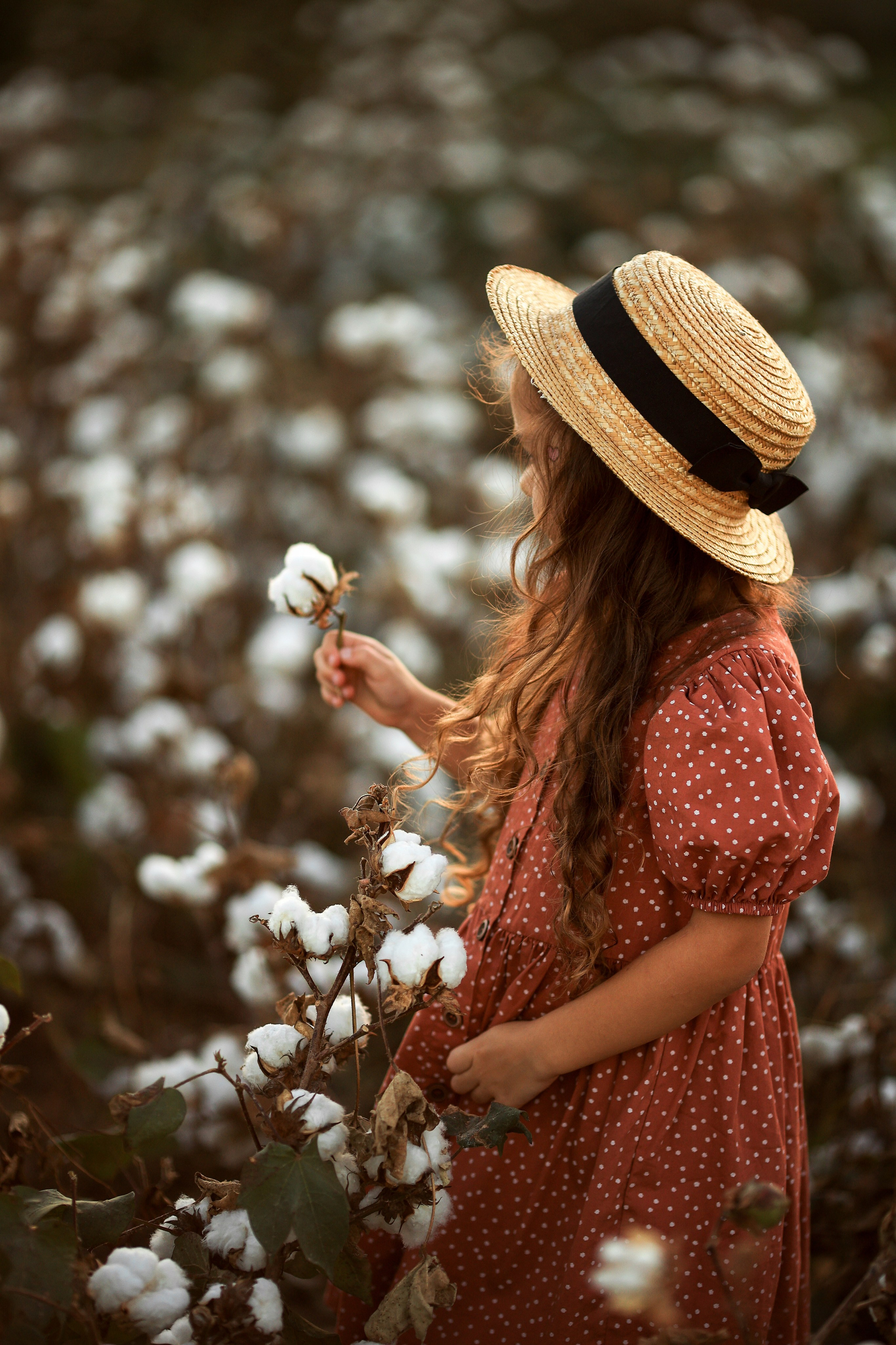 Photoshooting on cotton field