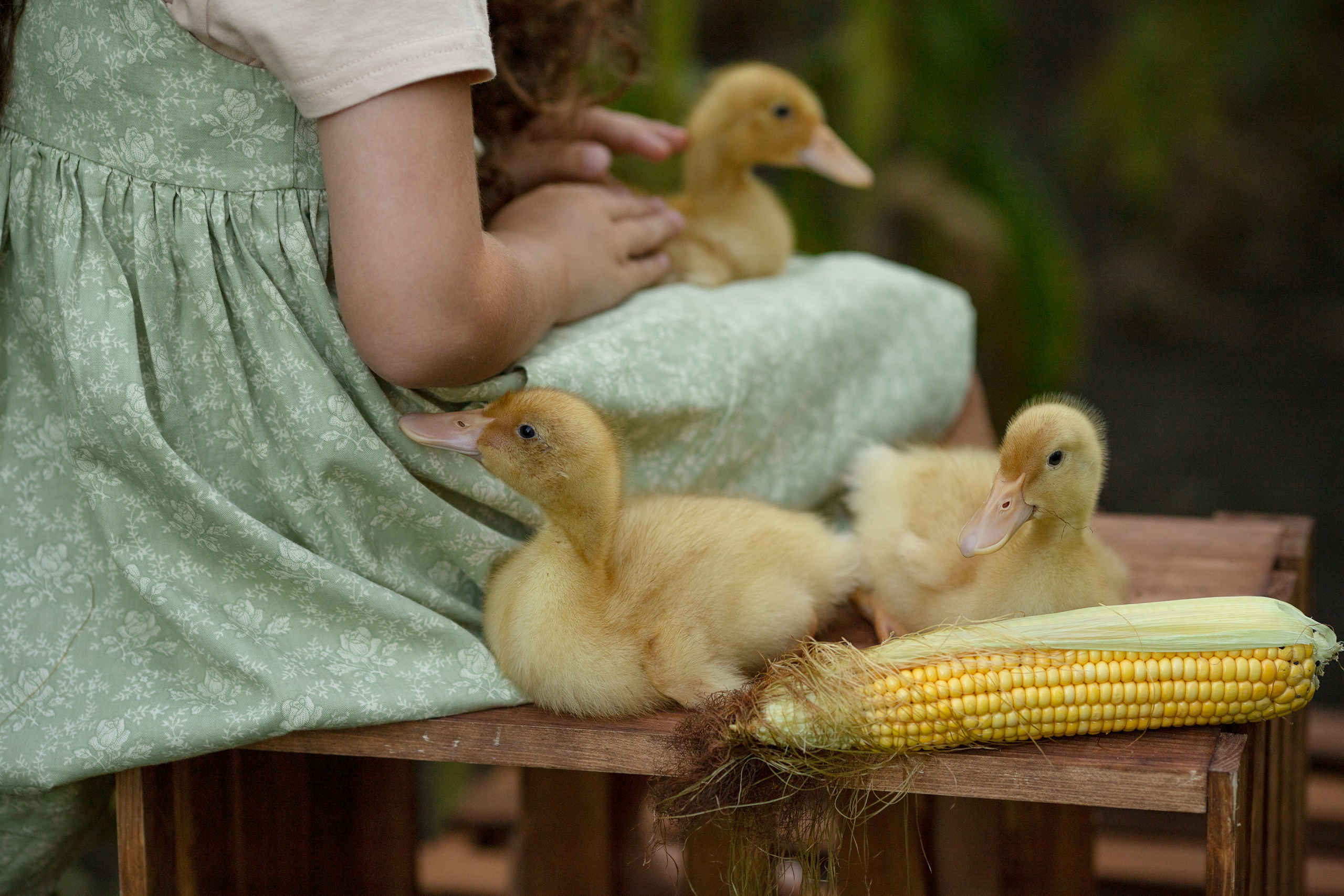 Семейная и детская фотосессия. Женский и портретный фотограф Мила Прошина. Краснодаар