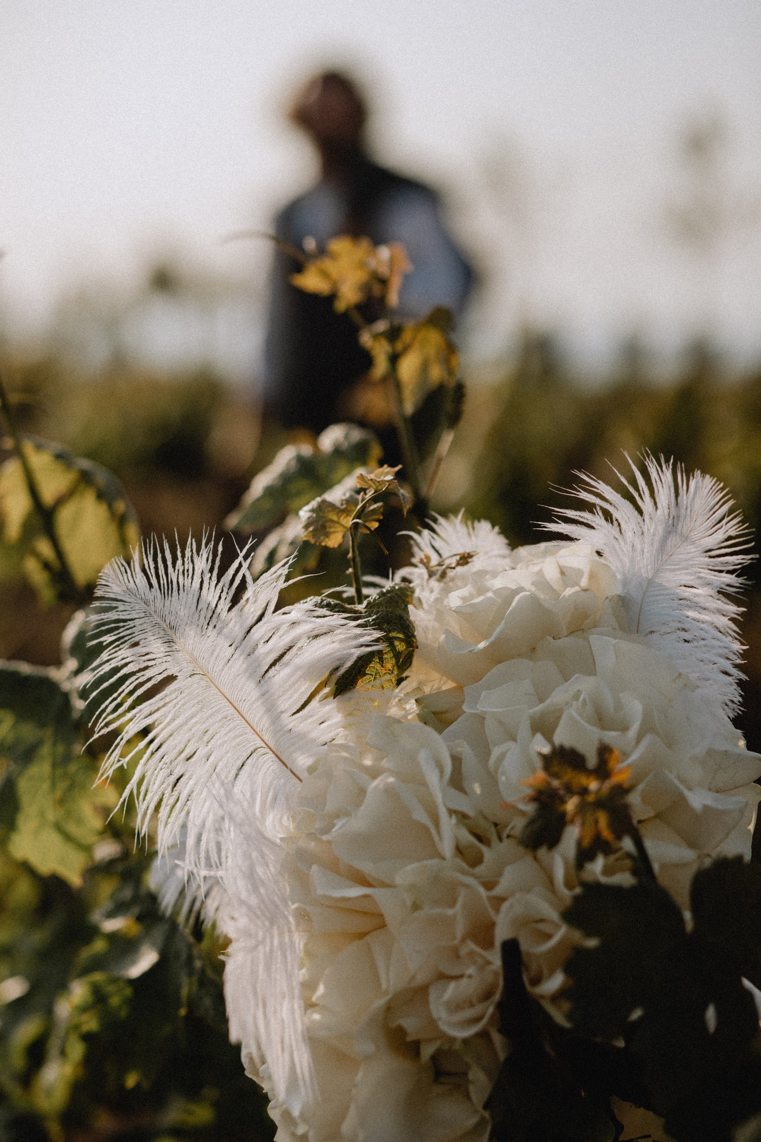 Виноградники и море. Фотограф в Краснодаре и Краснодарском Крае