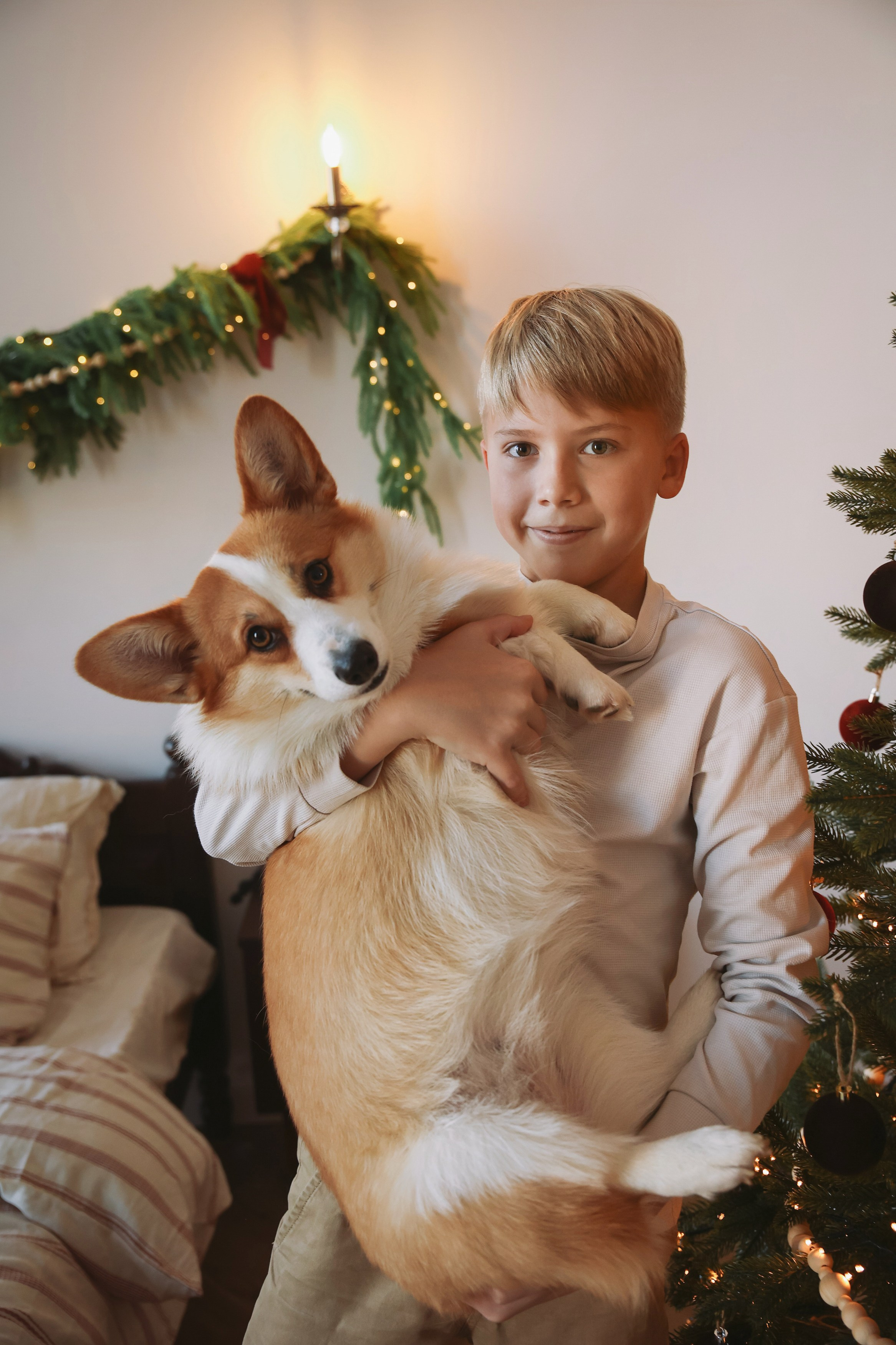 Новогодняя фотосессия во Владимире съемка на новый год фотосессия в студии фотограф во Владимире фотограф в Москве корги. Фотограф Владимир Москва