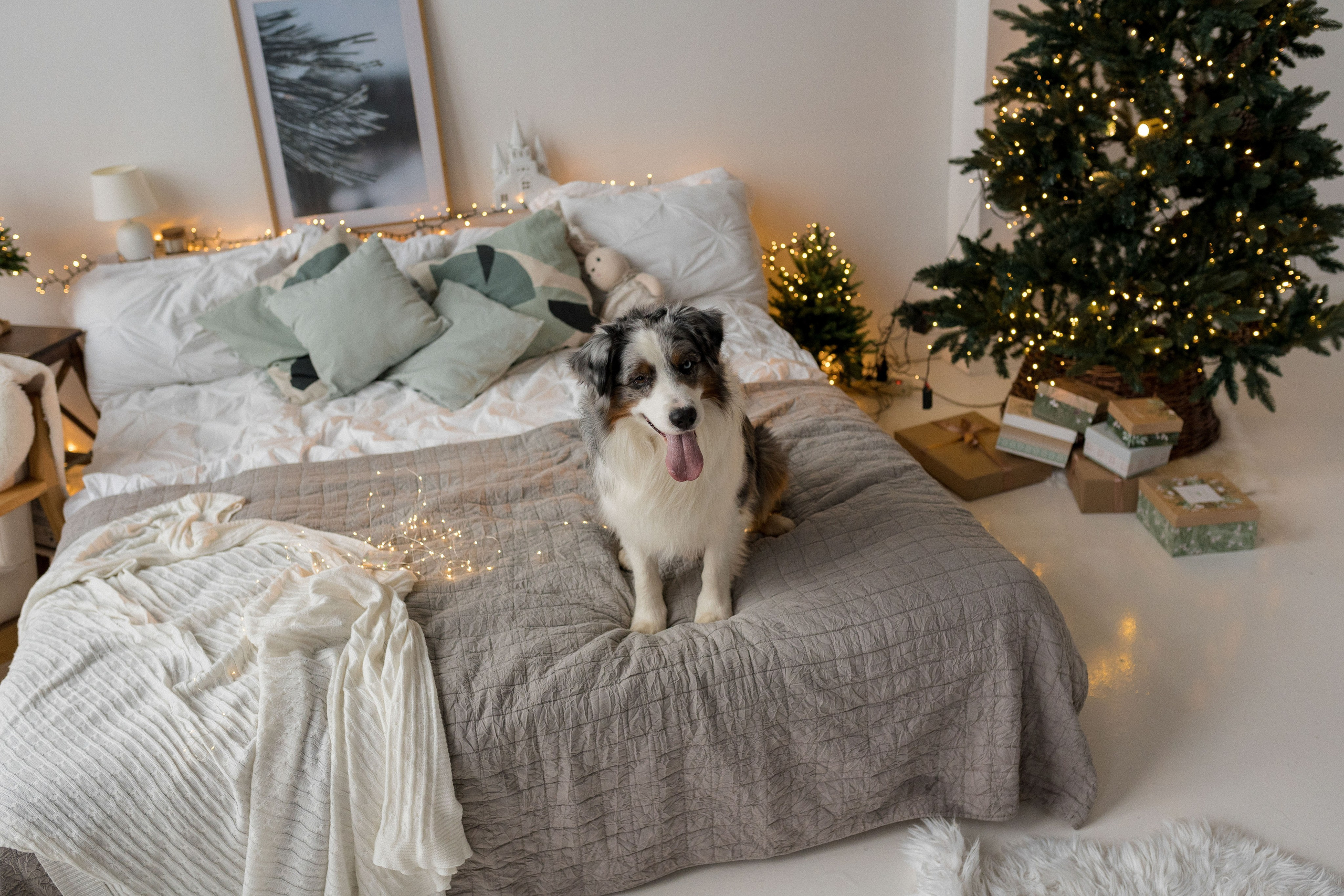 Новогоднее студия. Свадебный фотограф в Москве Анна Полушина