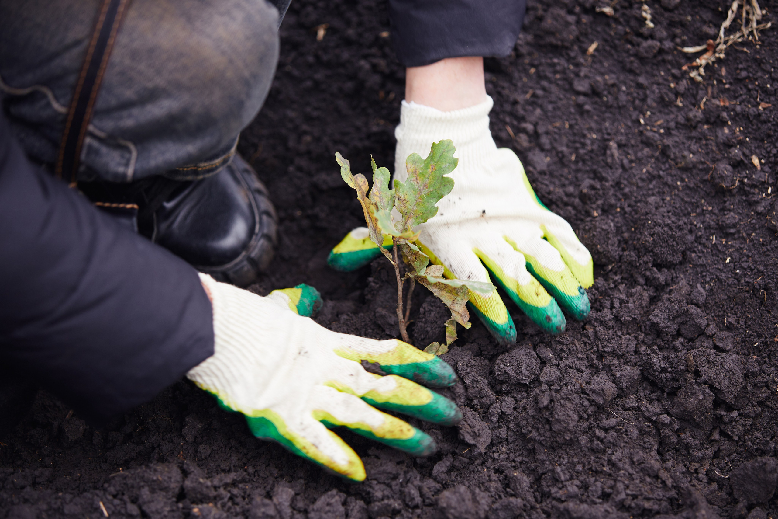 Акция «Зелёная Дубрава» на Куликовом поле. Даниил Гузиенко — репортажный фотограф в Туле