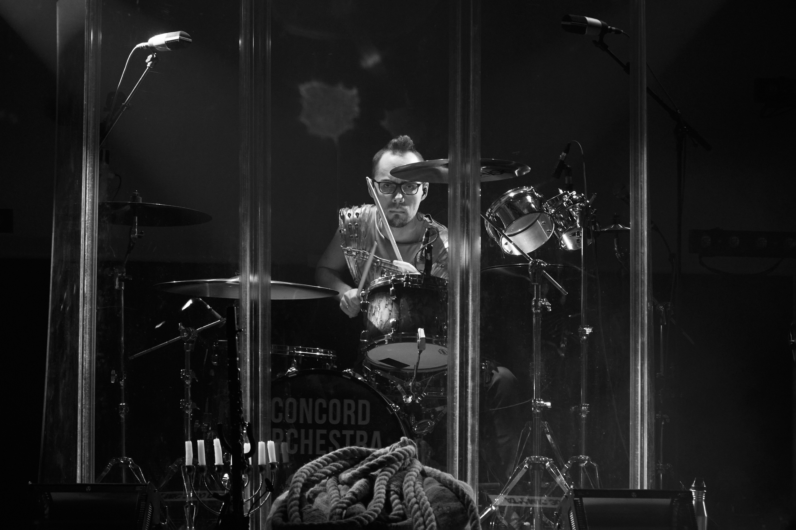 Concord orceatra. Фотограф