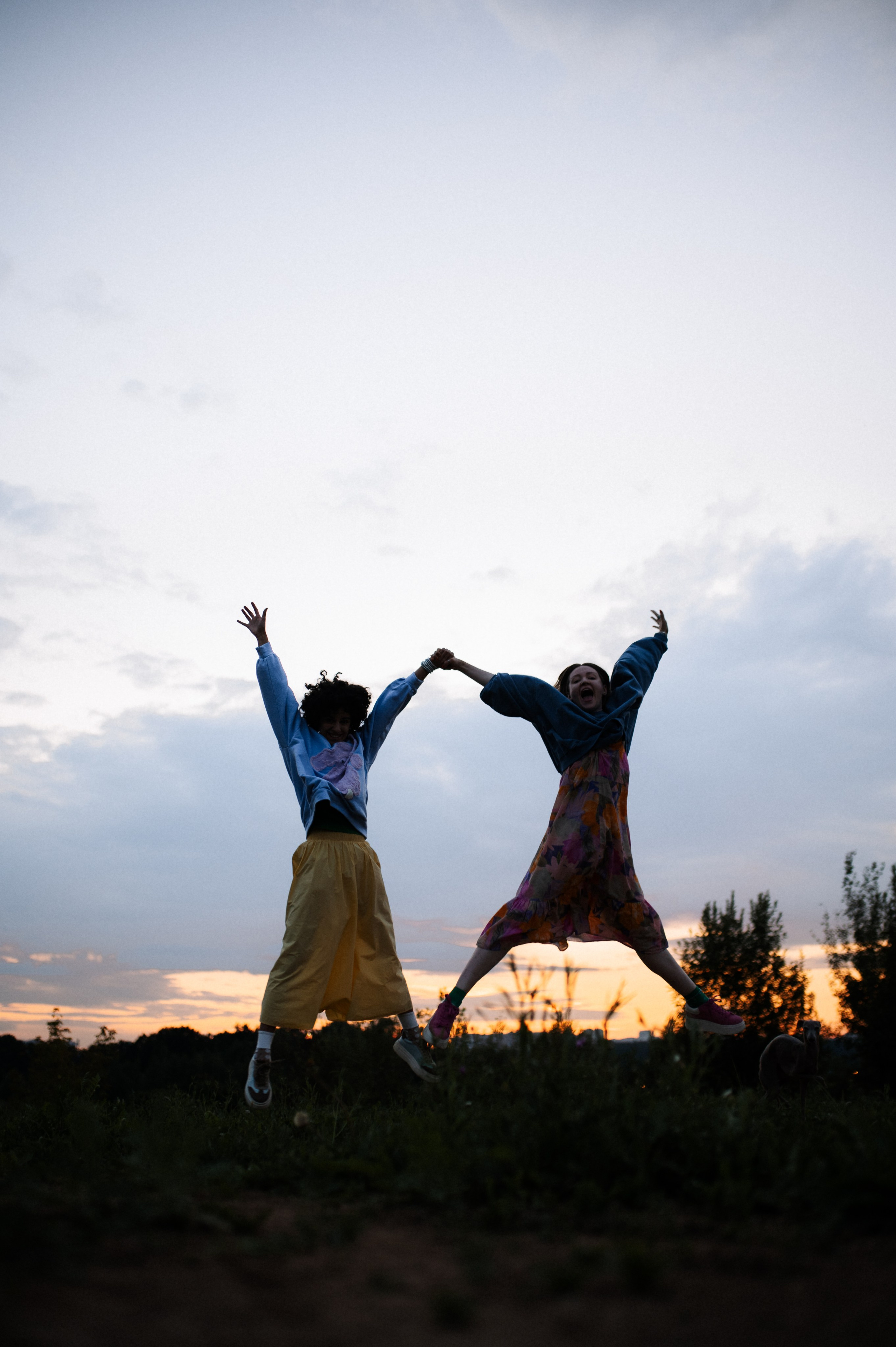 Хвост, смех и лучшие подруги. Фотограф анималист в Москве Ольга Агушева