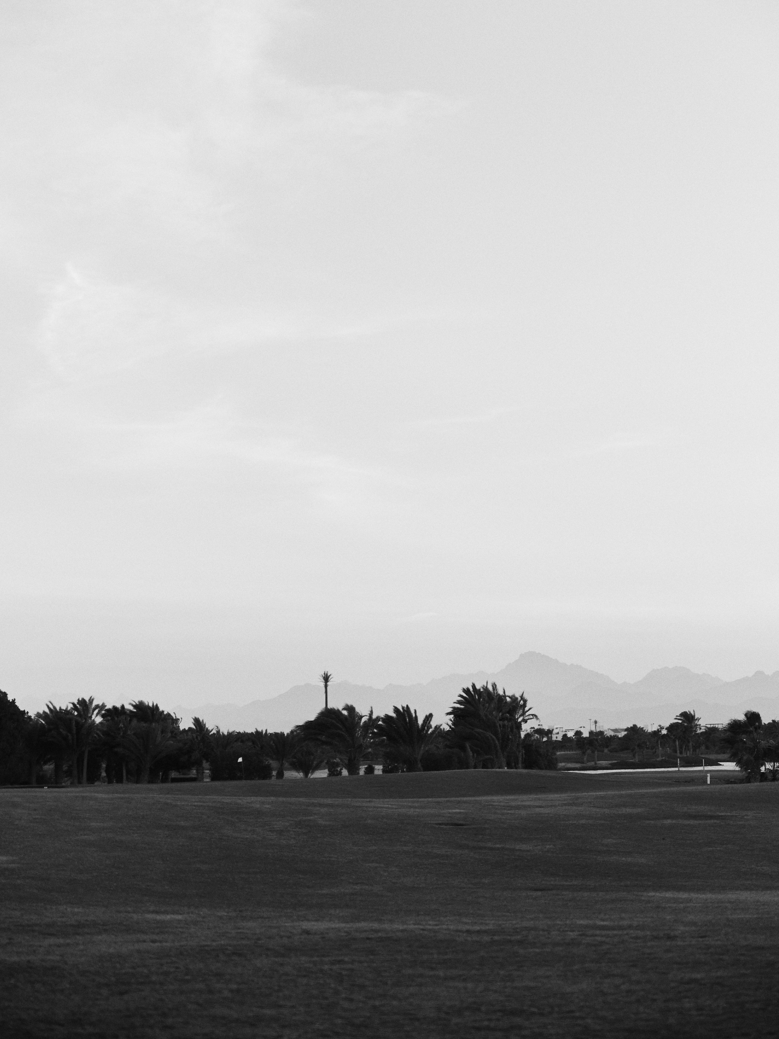 B&W. Jorgis — фотограф в Хургаде / обучение фотографии