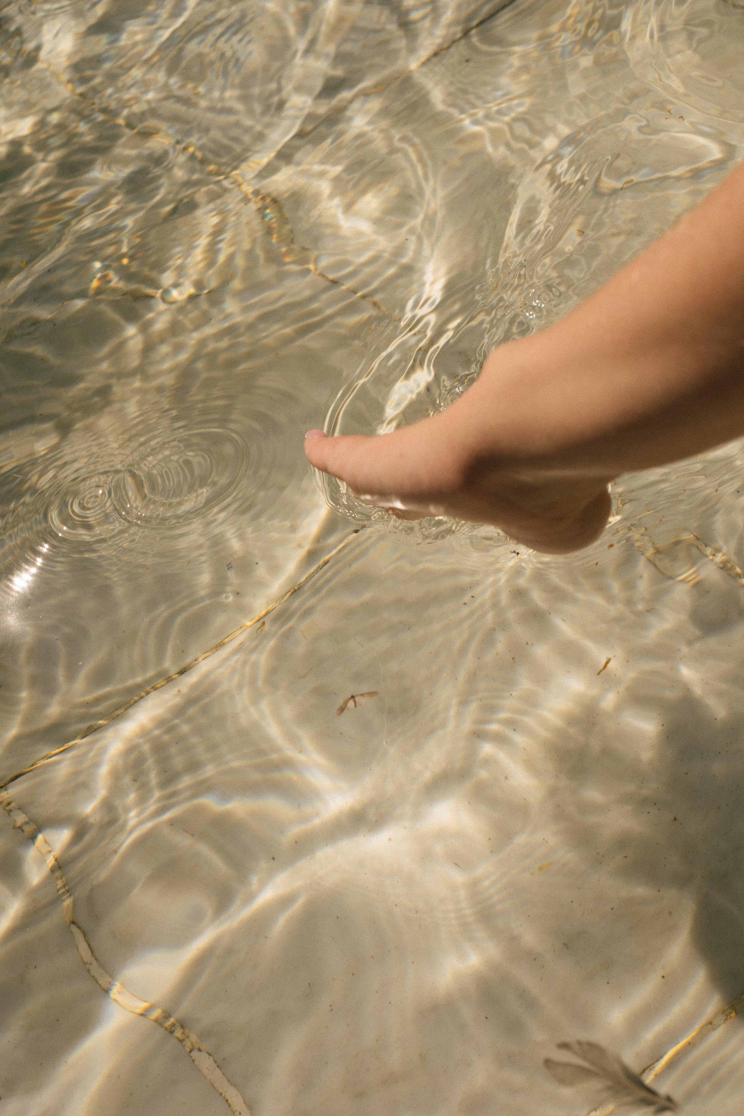 ПРОГУЛКА ПО ЛЕТНЕМУ САДУ. Профессиональный фотограф, Санкт-Петербург — Виктория Богомолова