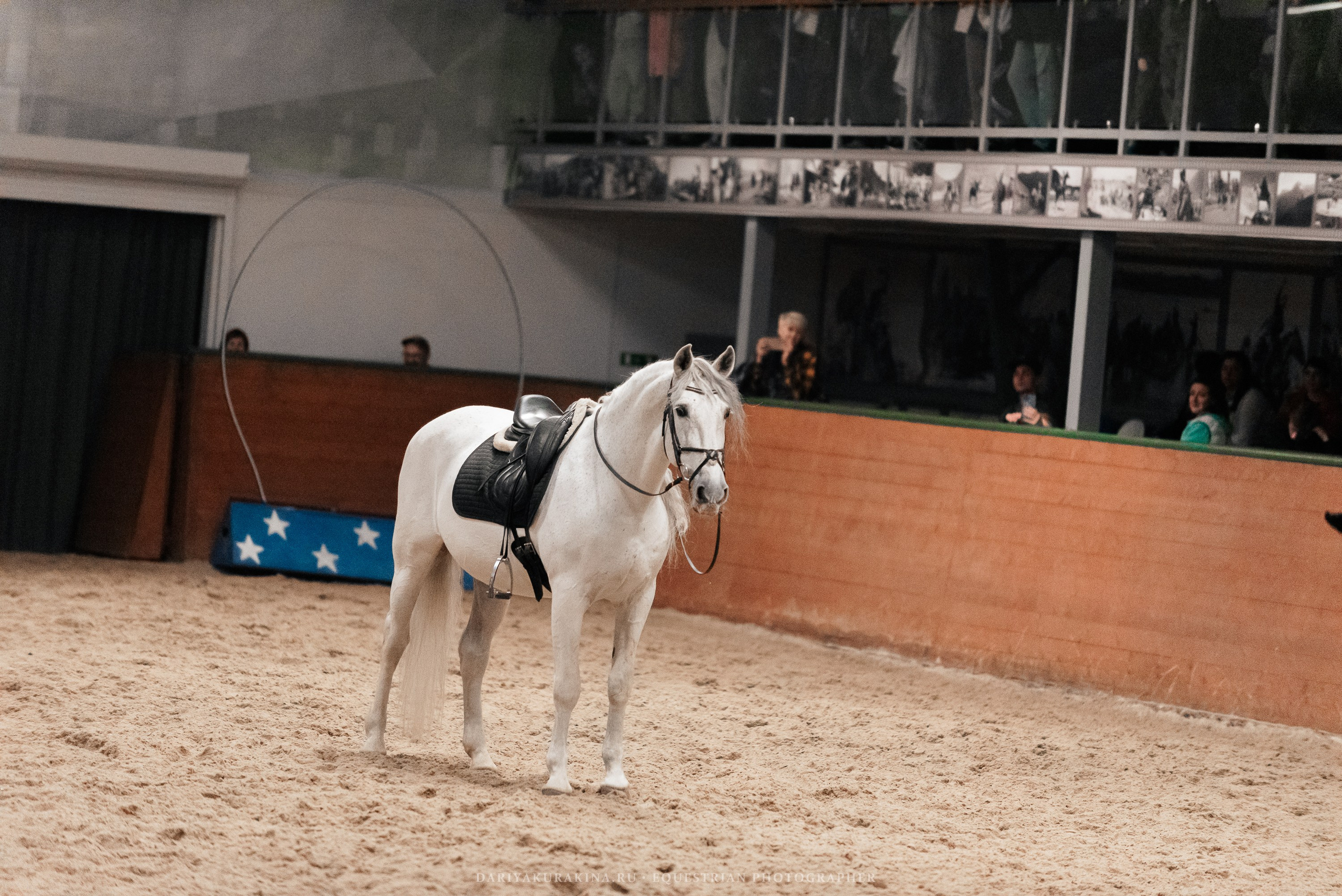 Конное представление «Дыхание Звёзд». Конный фотограф Куракина Дарья • Фотосессии с лошадьми