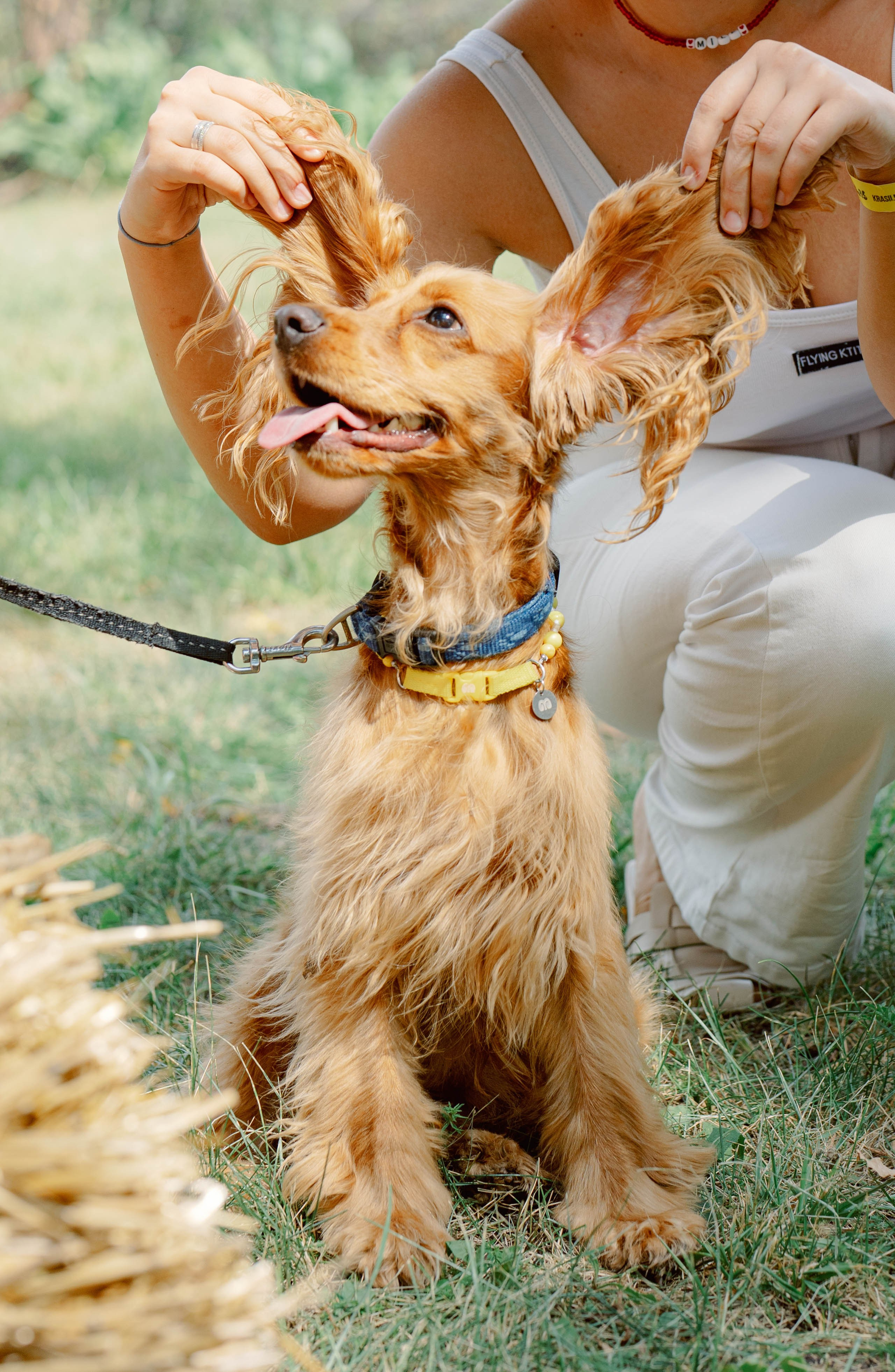 ASS FAMILY | СОН В ДЕРЕВНЕ | АВИАРЕЖИМ 8.0