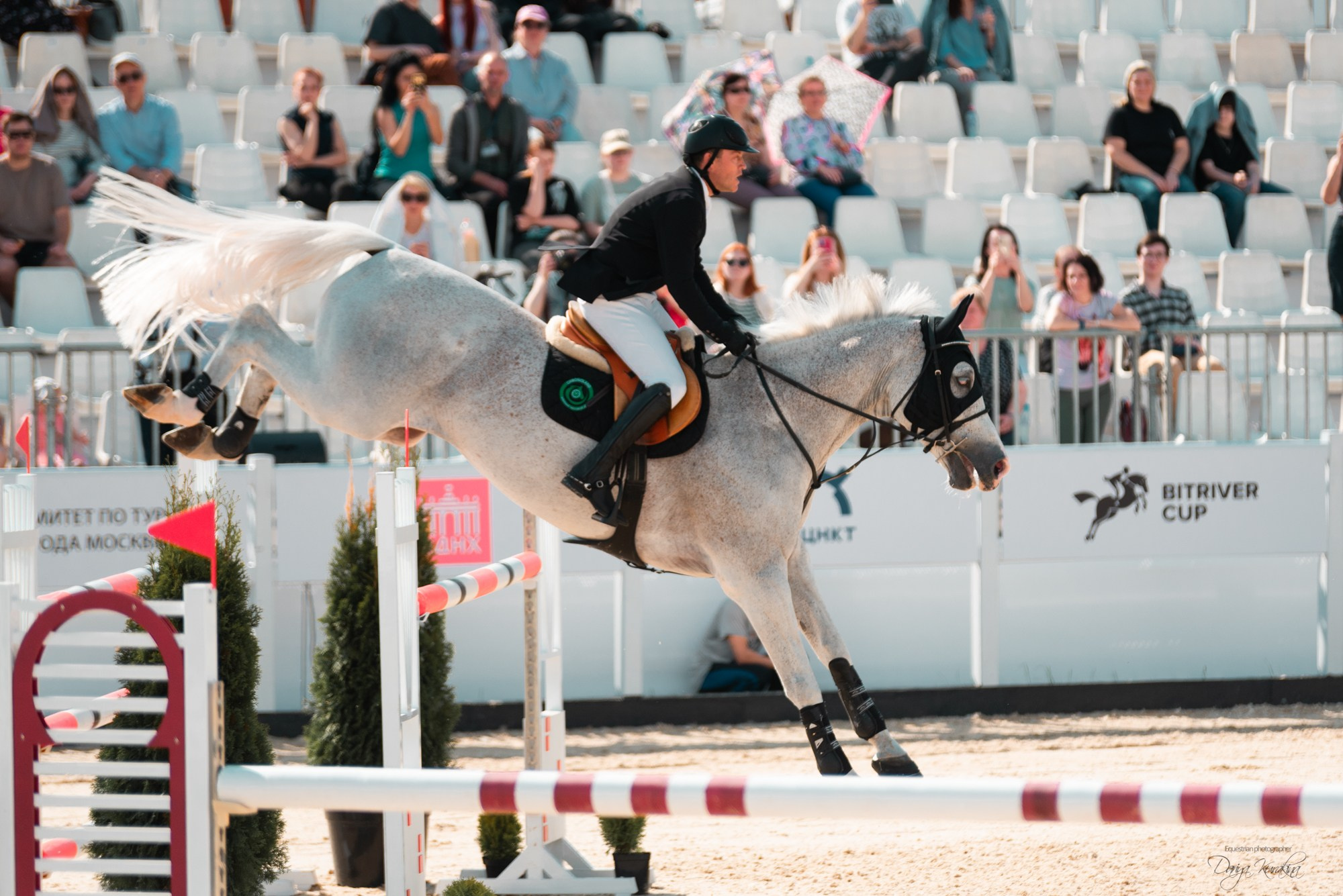 BITRIVER CUP 2023. Конный фотограф Куракина Дарья • Фотосессии с лошадьми