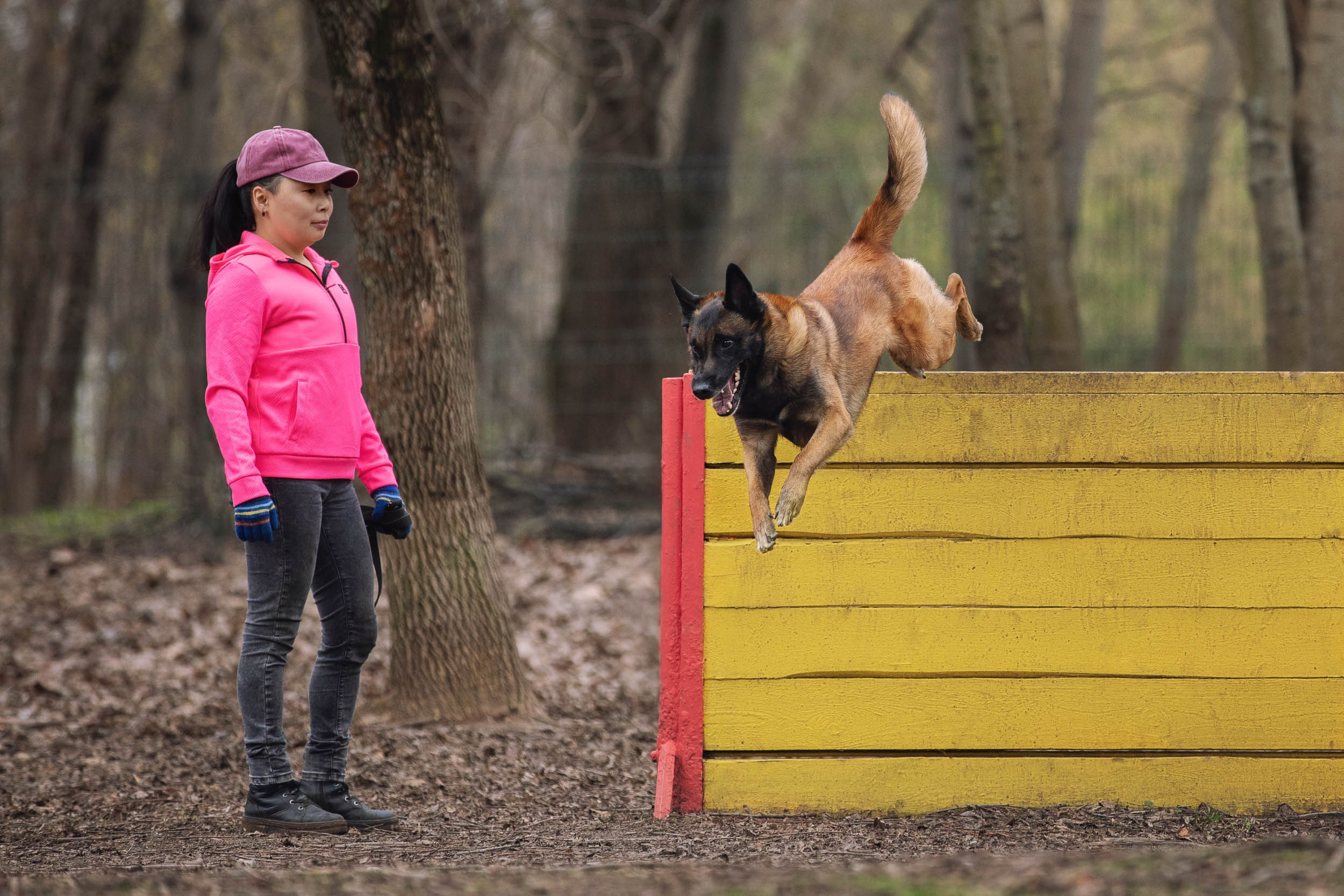 Съемка для рекламы услуг кинолога. Фотограф-анималист в Москве и Московской области Татьяна Фролова