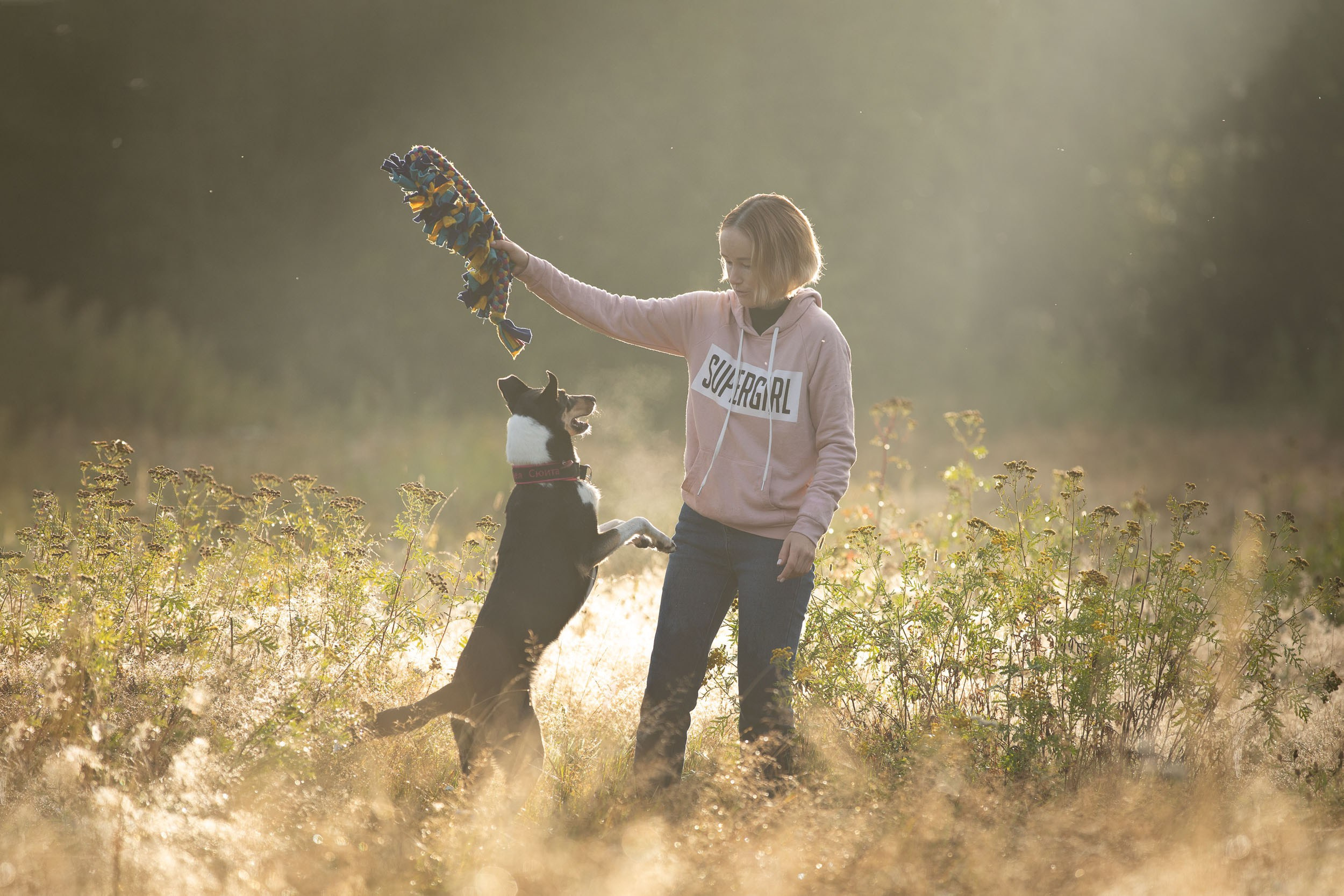 Наташа и короткошерстные колли. Фотограф-анималист в Москве и Московской области Татьяна Фролова
