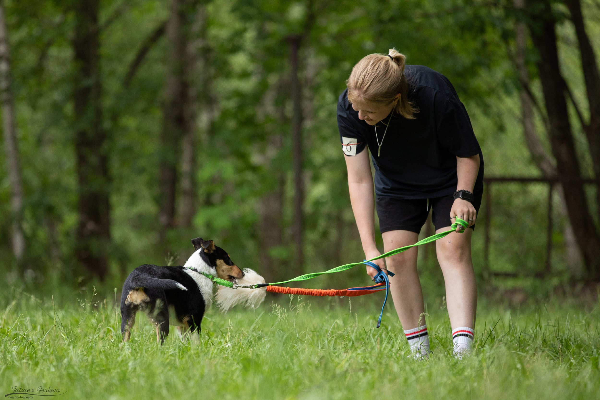 Репортаж с выводки молодняка колли/шелти в Ясенево. Фотограф-анималист в Москве и Московской области Татьяна Фролова