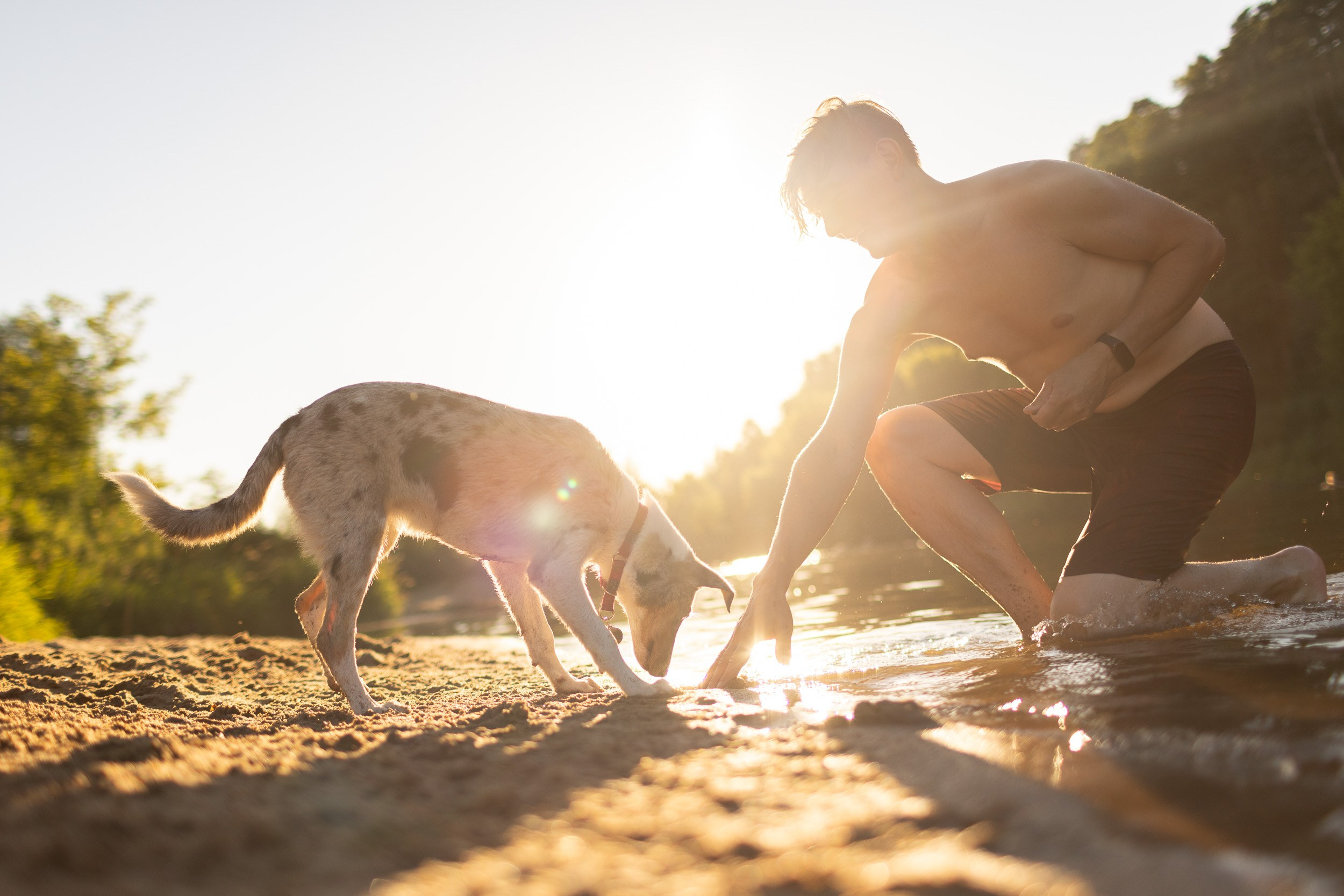 Купание щенков в стиле лайфстайл. Фотограф-анималист в Москве и Московской области Татьяна Фролова