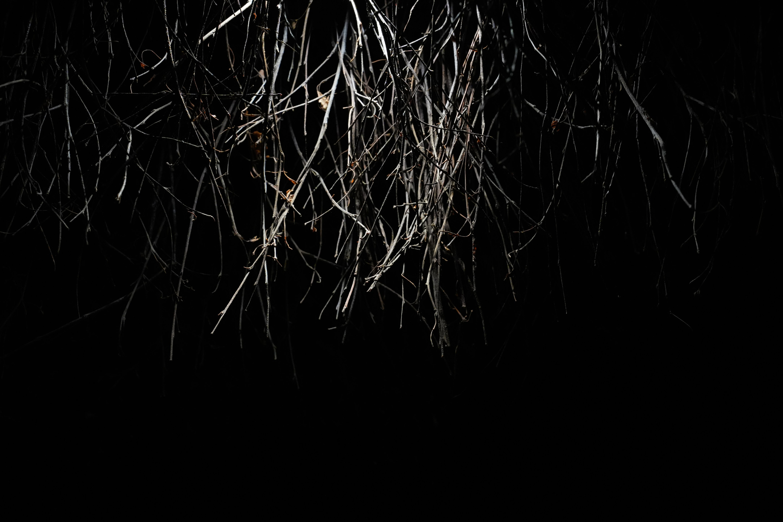 Живет художник. Arseniy Karchevskiy I Photographer