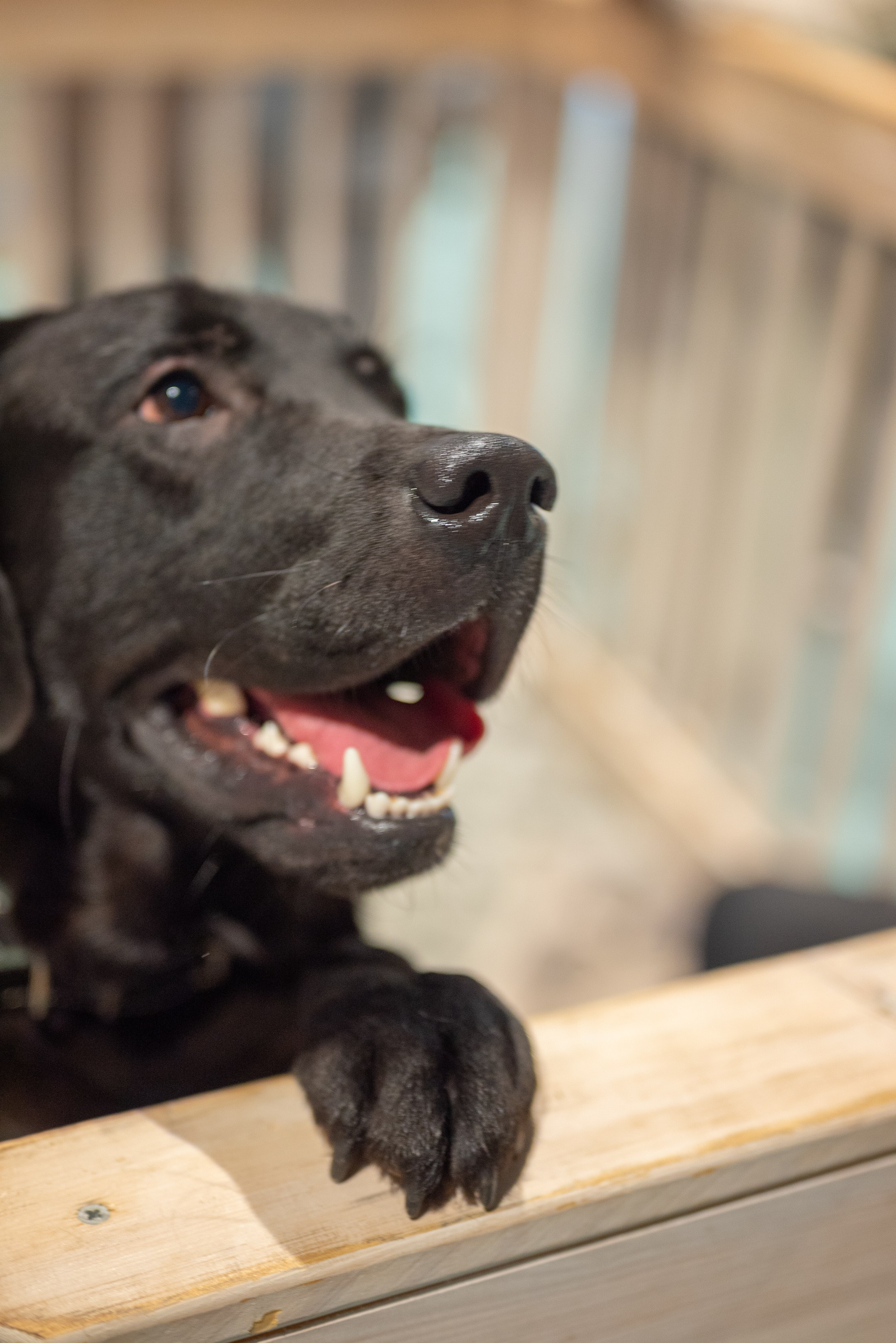 Благотворительный фестиваль «Путь домой». Дарья Медведева