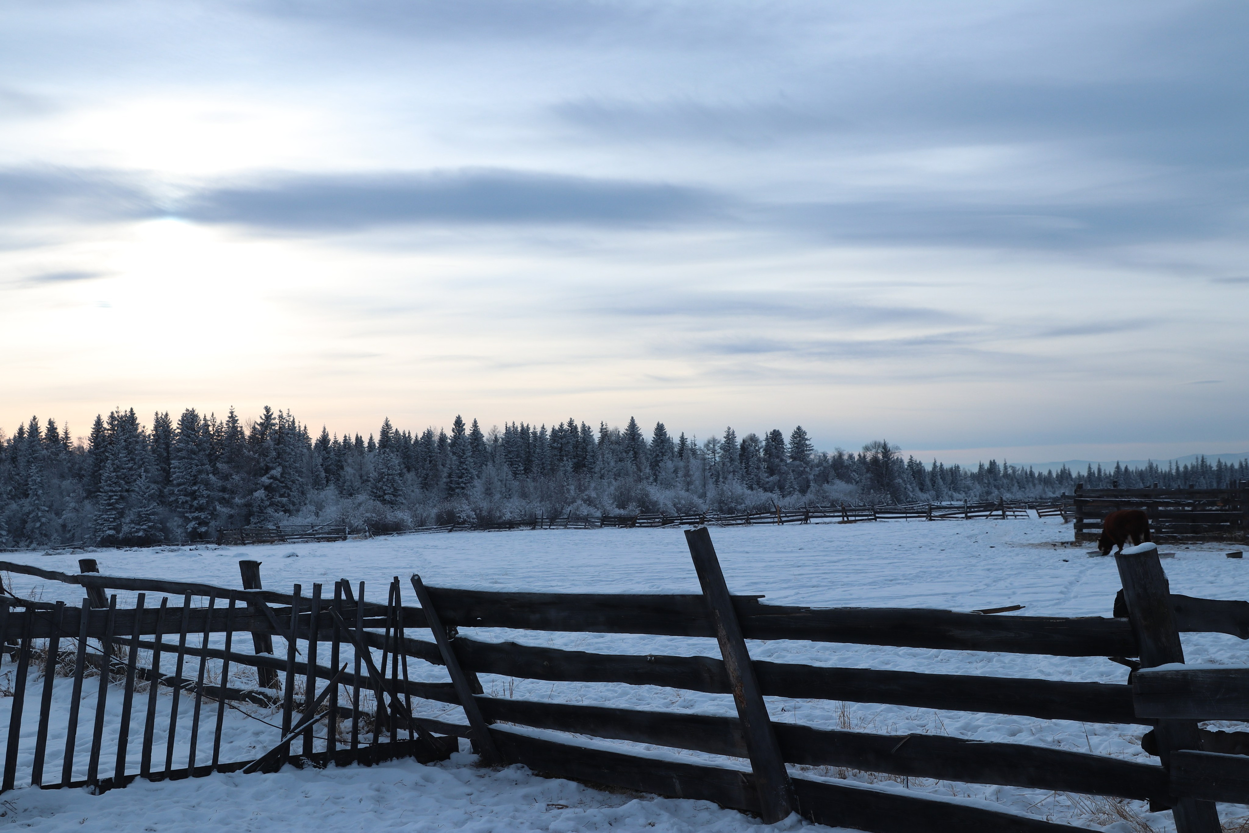 Аршан. Январь 2024. Путешественник-фотограф из Санкт-Петербурга Татьяна Свистулина