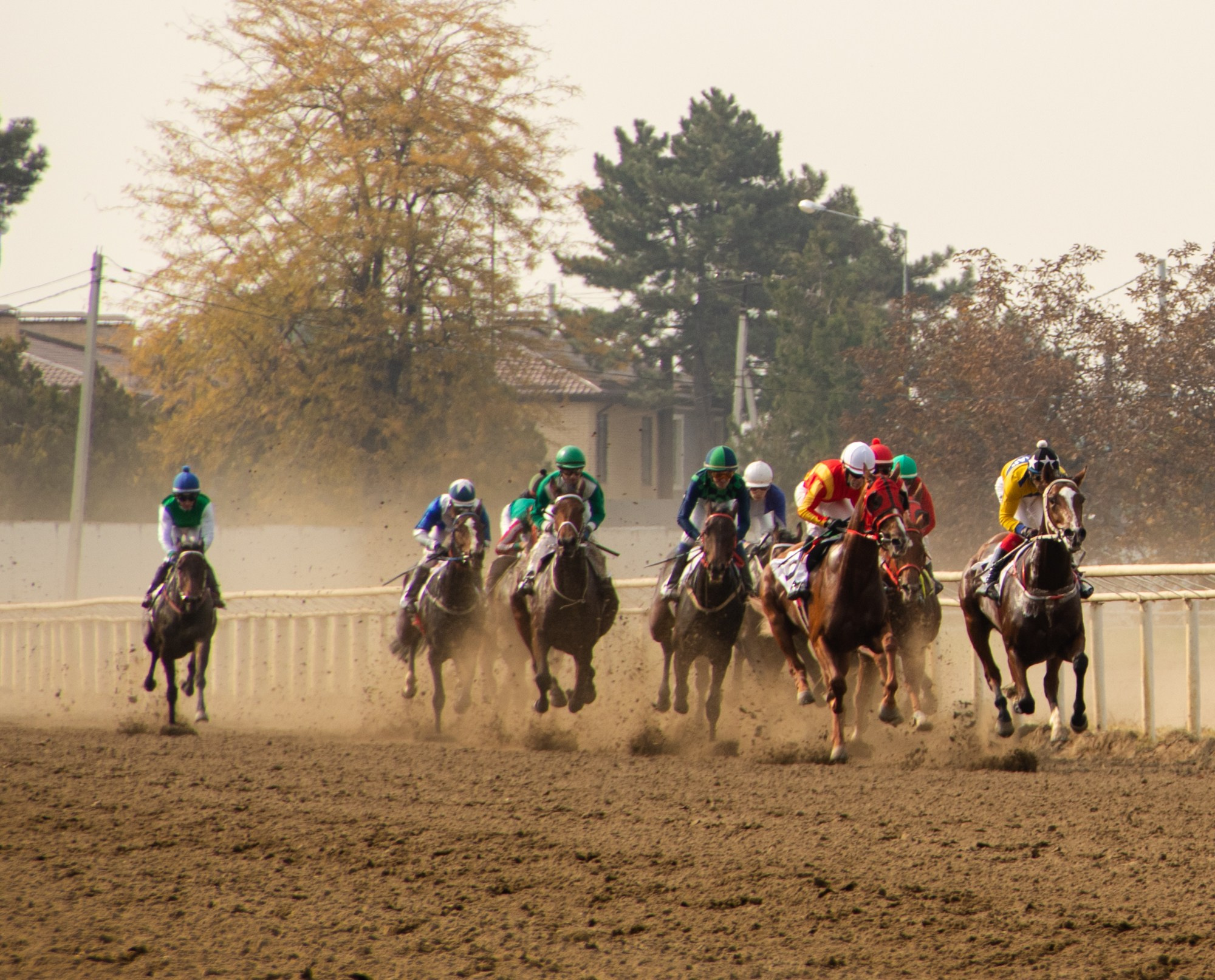 Закрытие скакового сезона на Краснодарском ипподроме. Репортажный, промышленный и маркетплейс-фотограф Дмитрий Чернат