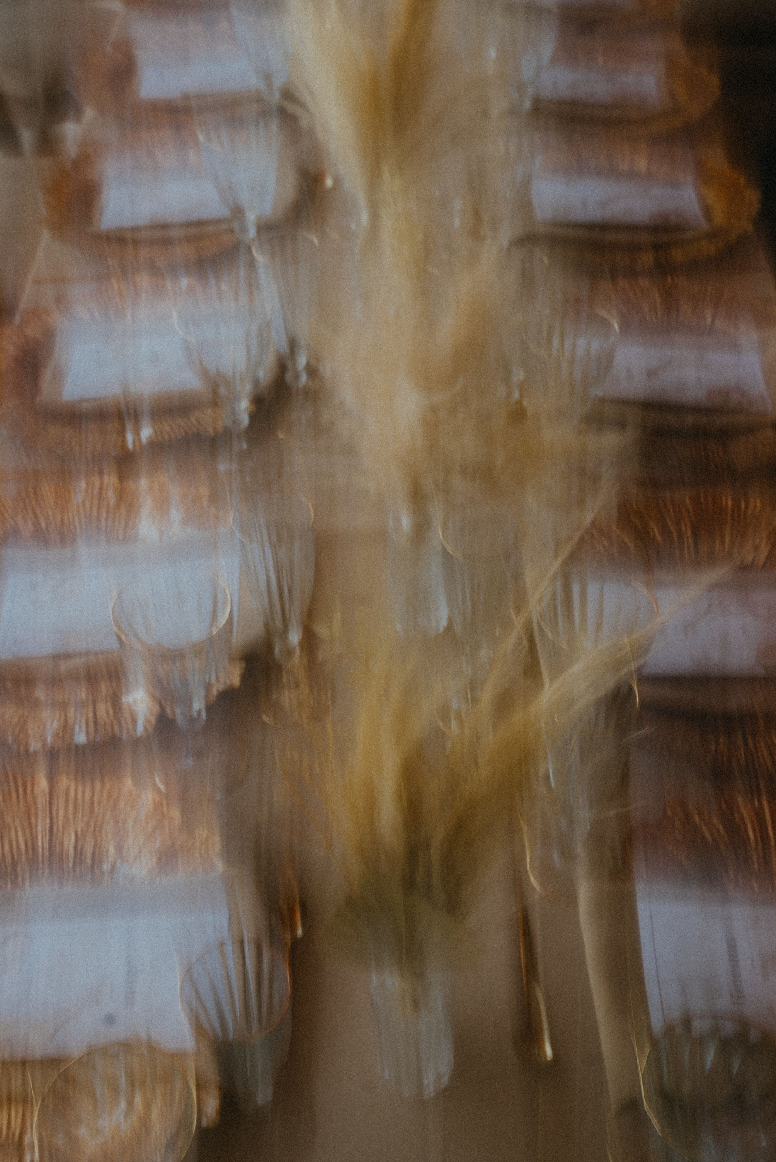 Девичник Виктории | Южная Озереевка. Фотограф Санкт-Петербург, Новороссийск