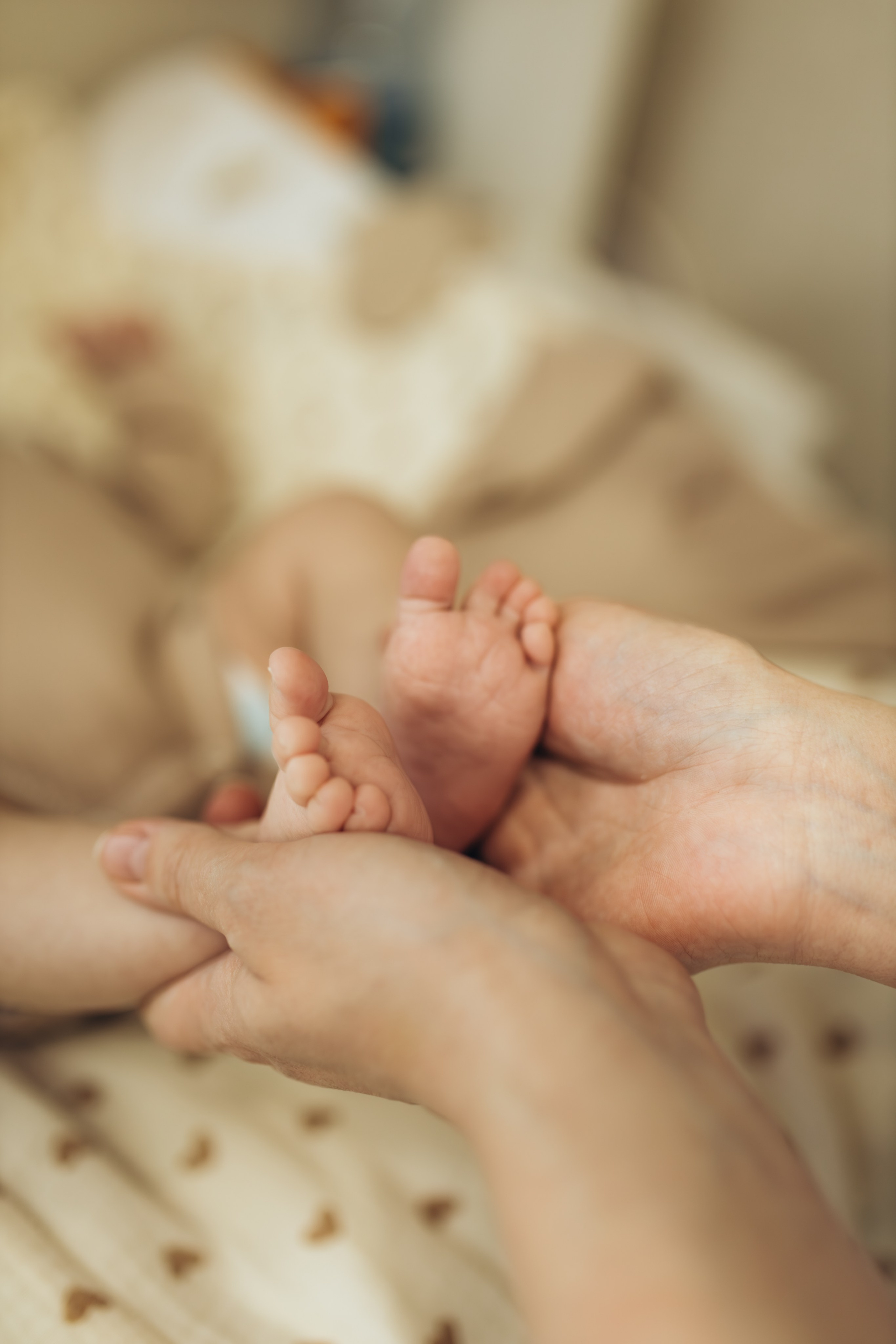 Семейная фотосессия в Суздале и Владимире. Главная