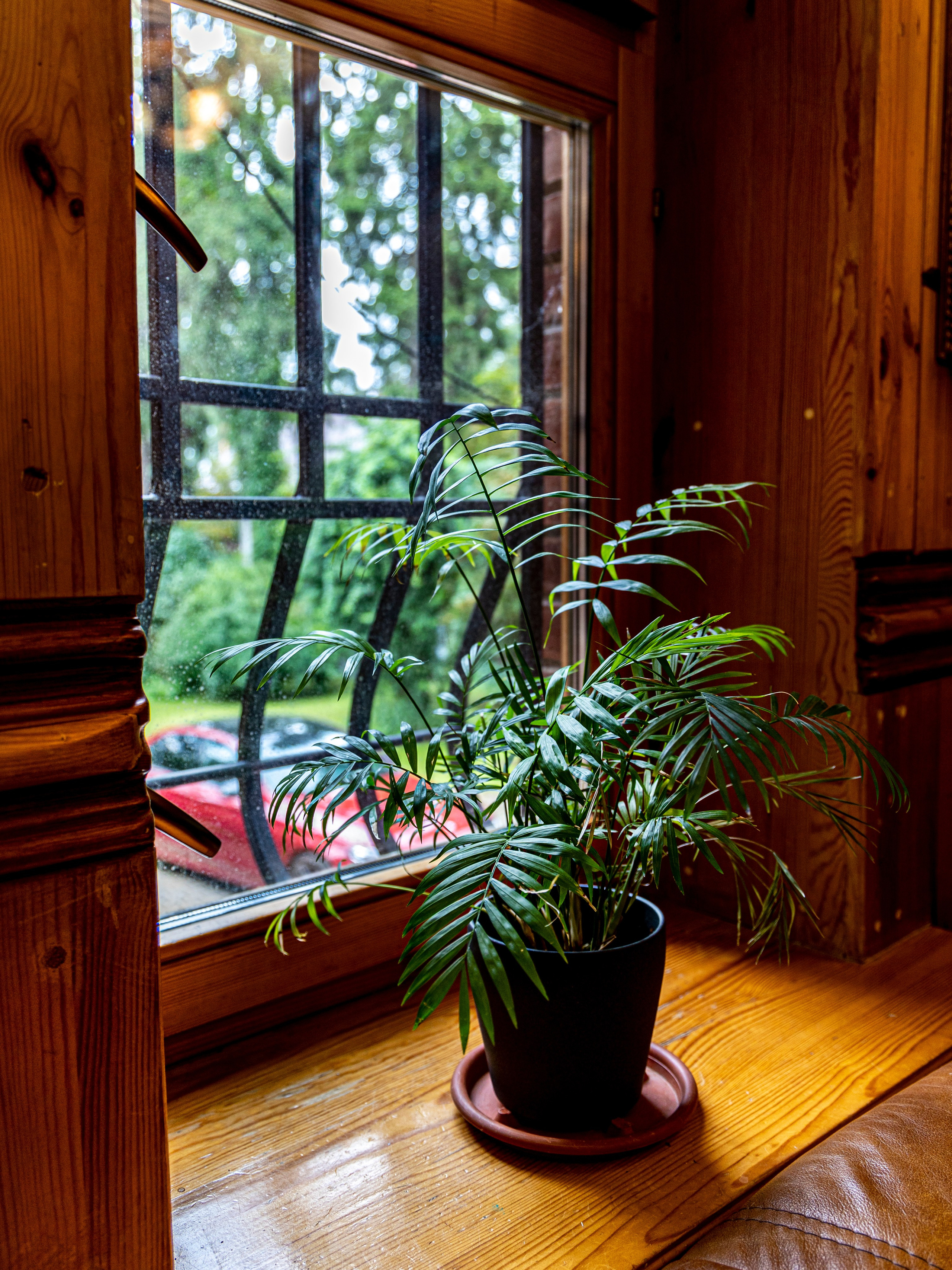 Фотограф Татьяна Марсуверских г. Жуковский, Москва и Мо. Репортажные съёмки, фотосессии. Детский, семейный фотограф. Фотограф для маркетплейсов, фотоуслуги в Жуковском Татьяна Марсуверских