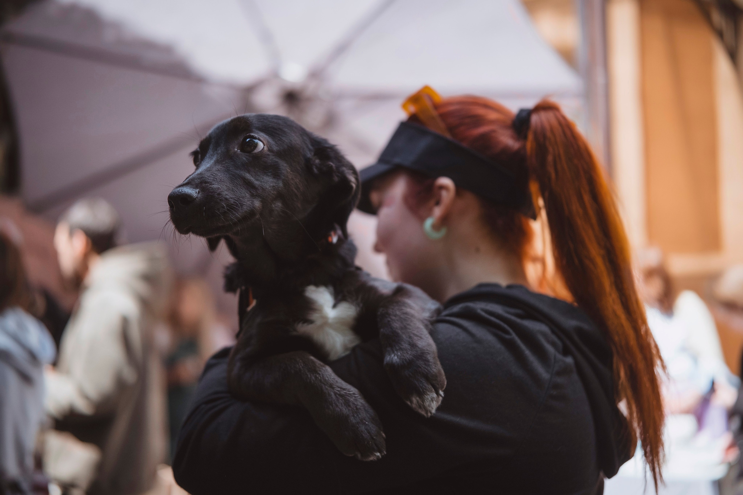 По пути. Главная