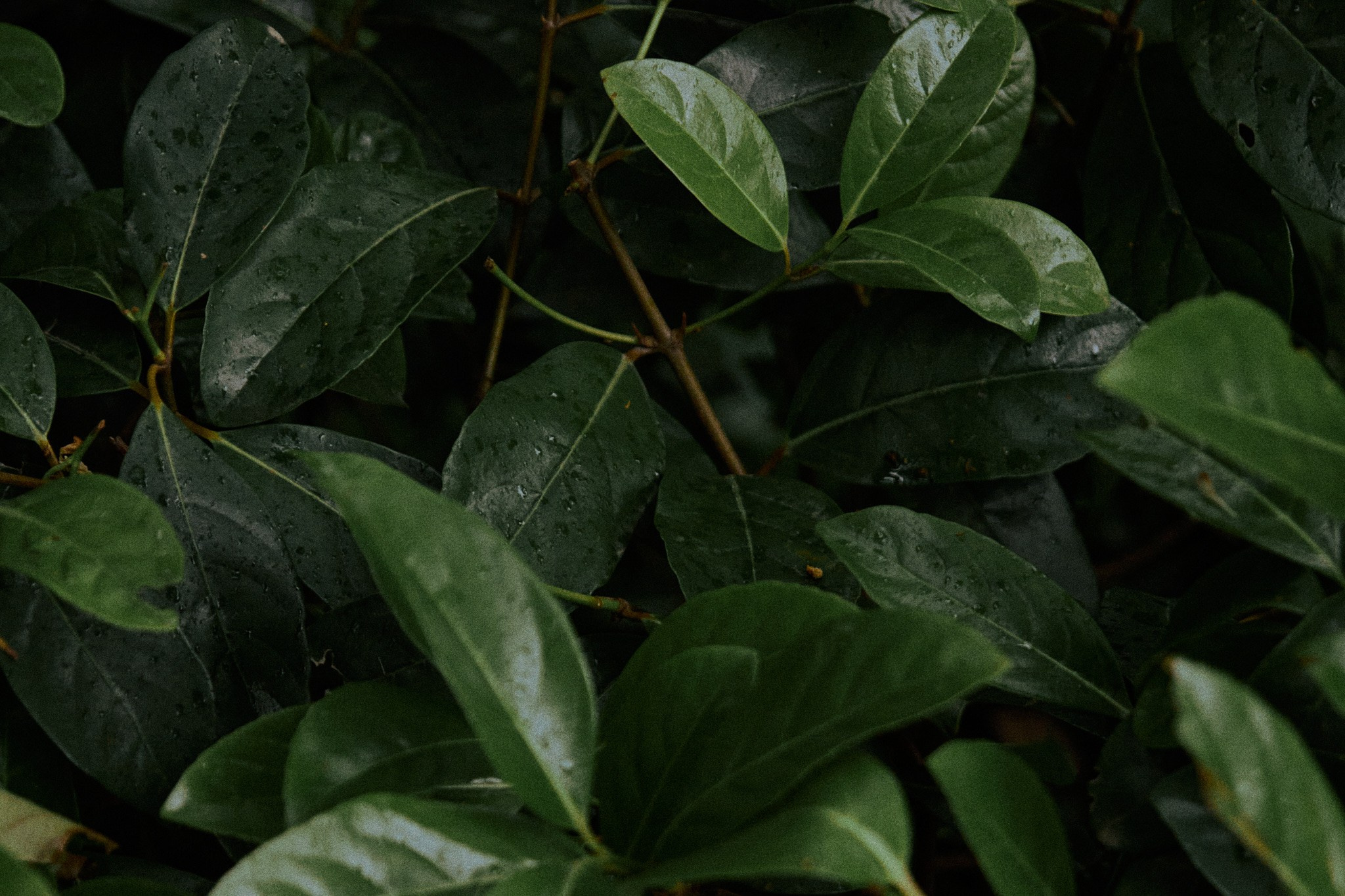 Улица горизонтальная. Jorgis — фотограф в Хургаде / обучение фотографии