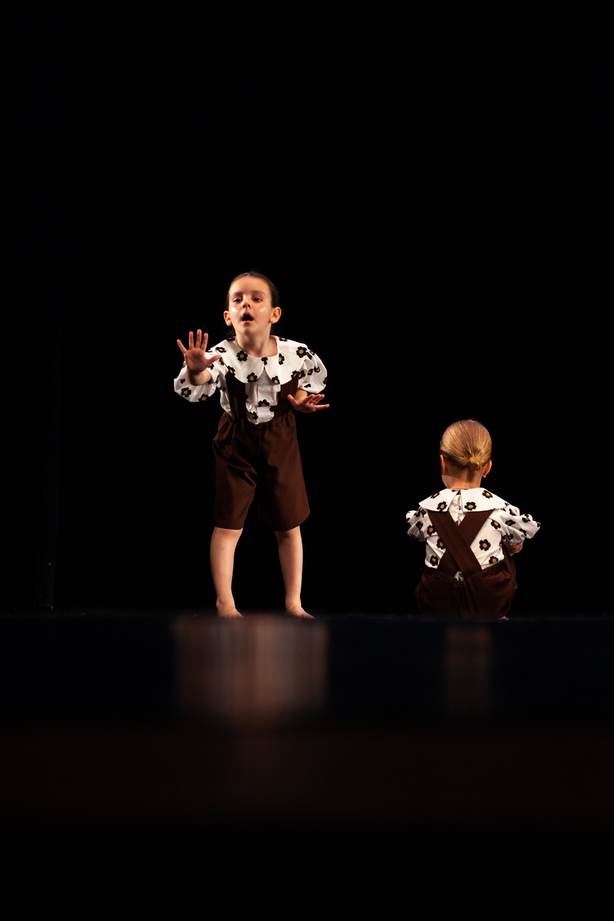 Концерты. Виолетта Скрипка