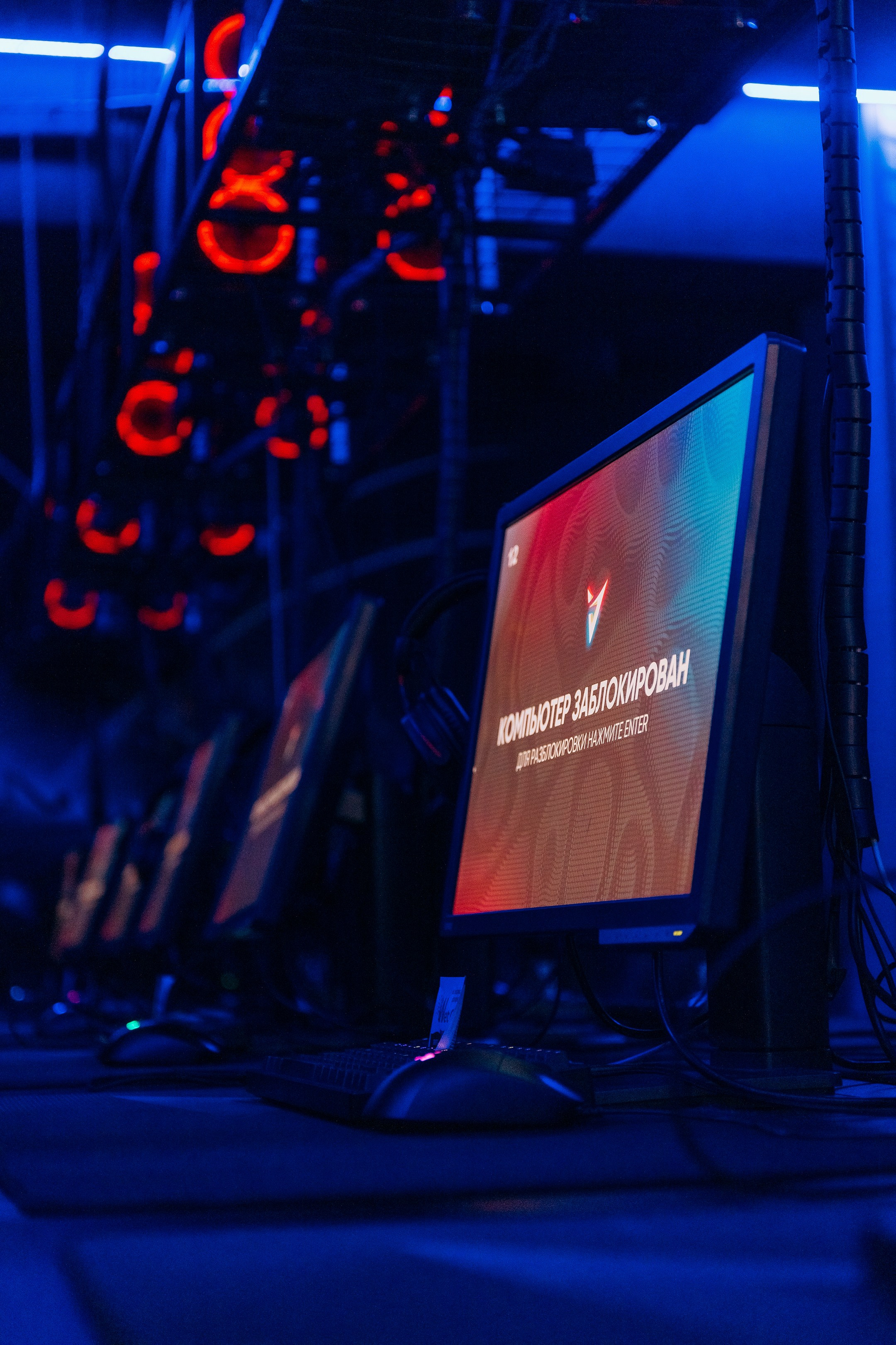 Компьютерный клуб «Вертикаль». Свадебный фотограф Пенза