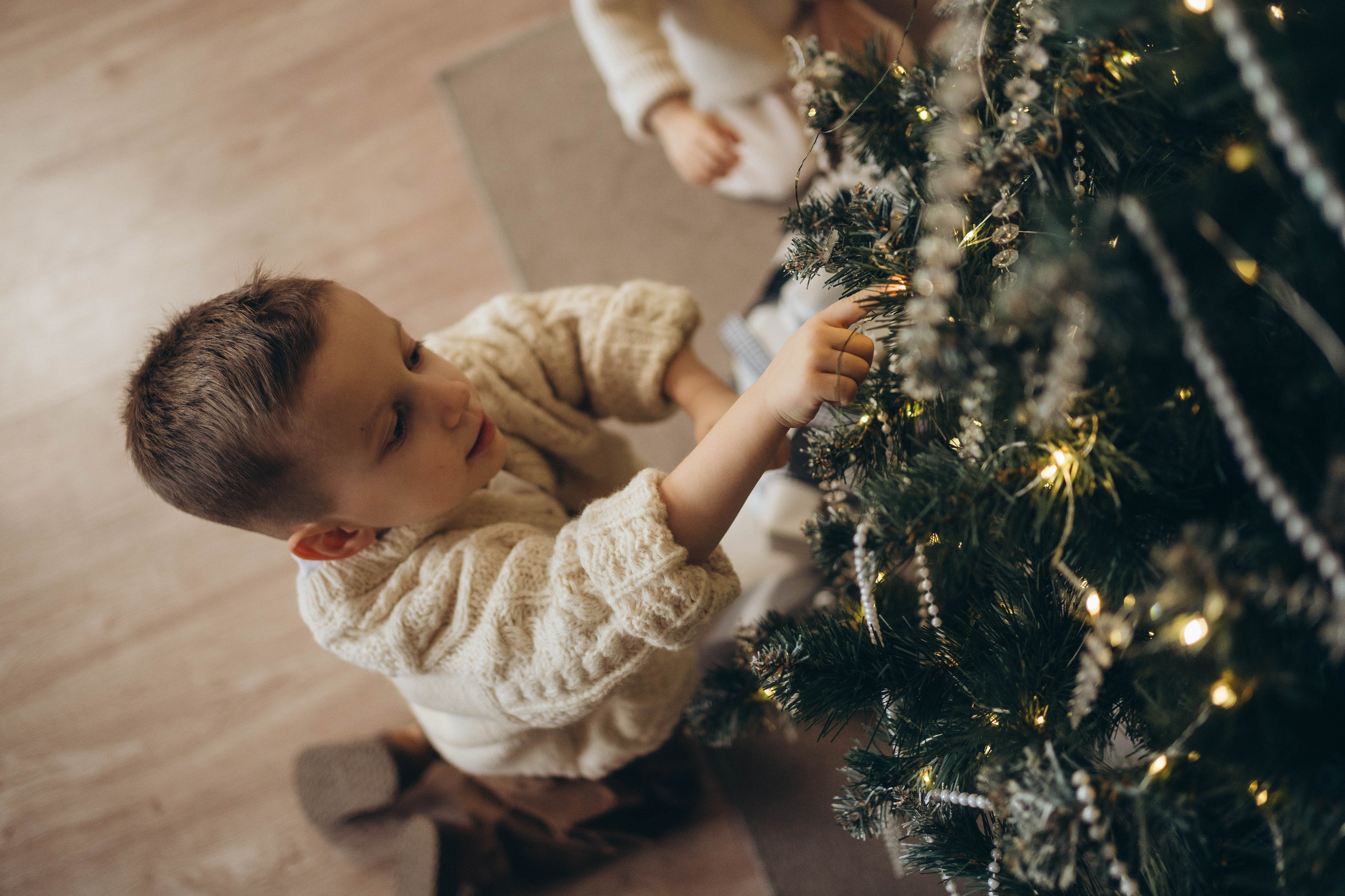 Мирон и Демид