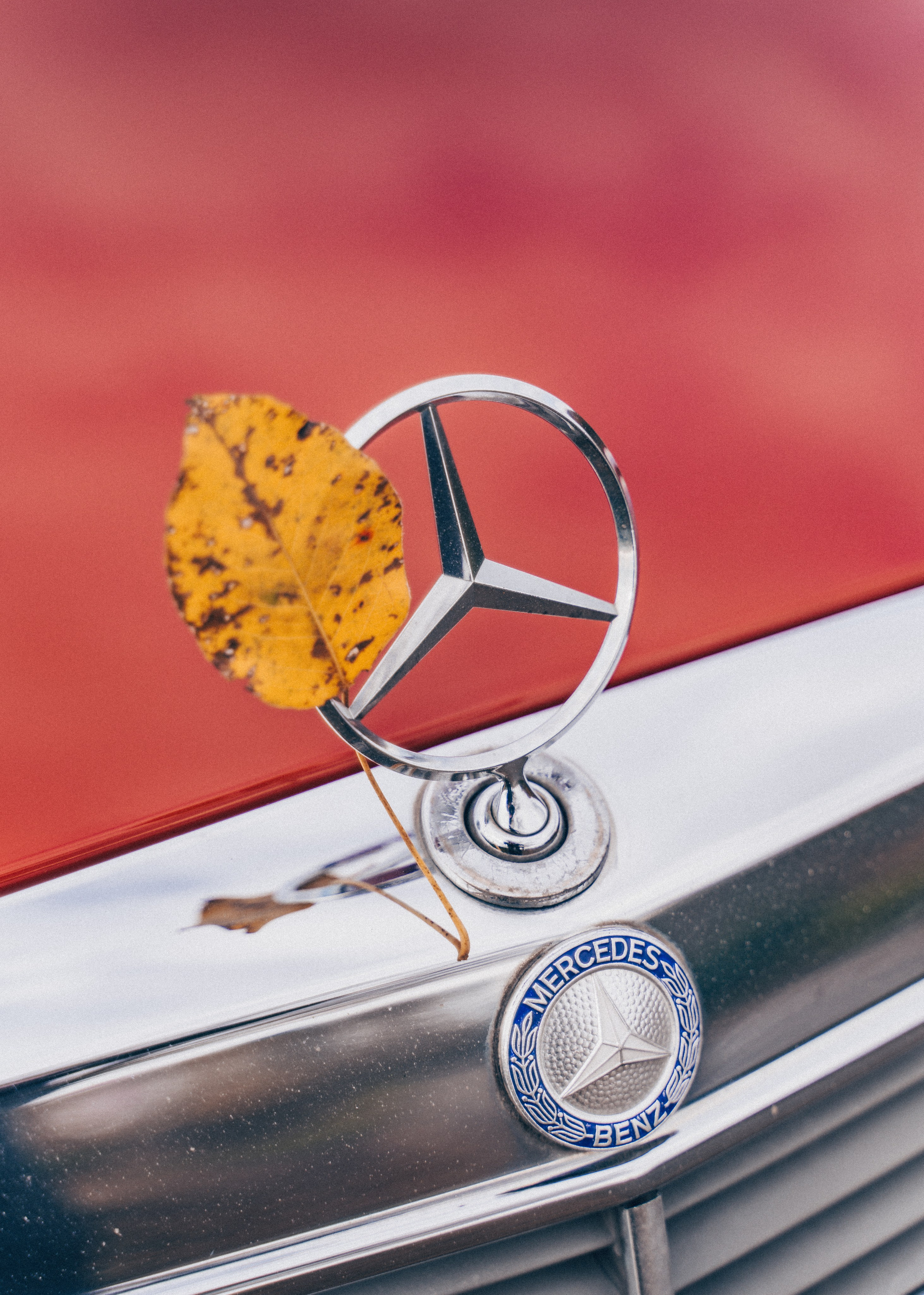 Retro Mercedes in Autumn. Автомобильный и просто лучший фотограф в Сочи Nikita No Name