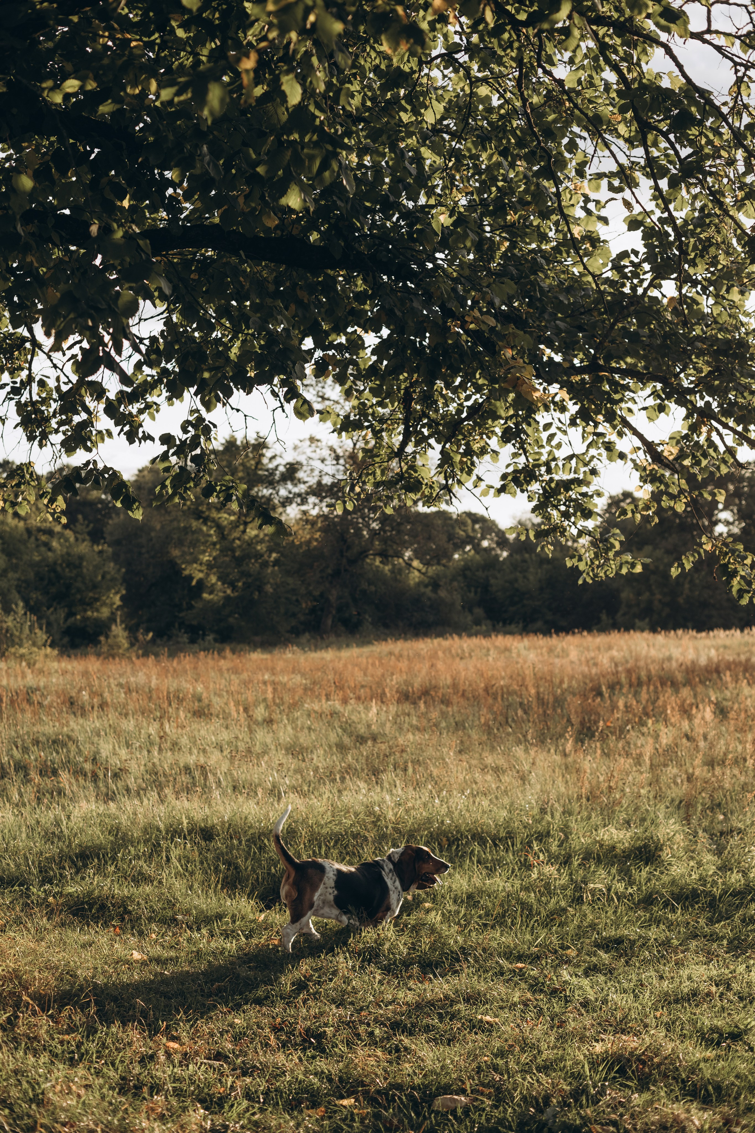 Там, где живет любовь. Семейный фотограф в Брянске Зурилина Екатерина