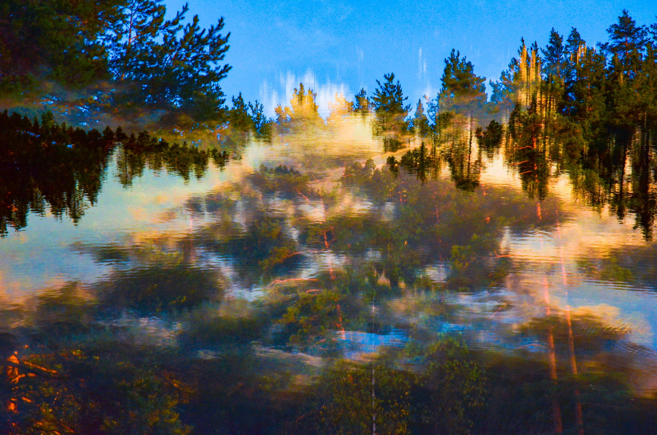 Другое видение в фотографии. Мари Линёк-Стельмах Фотохудожник Санкт-Петербург/Урал