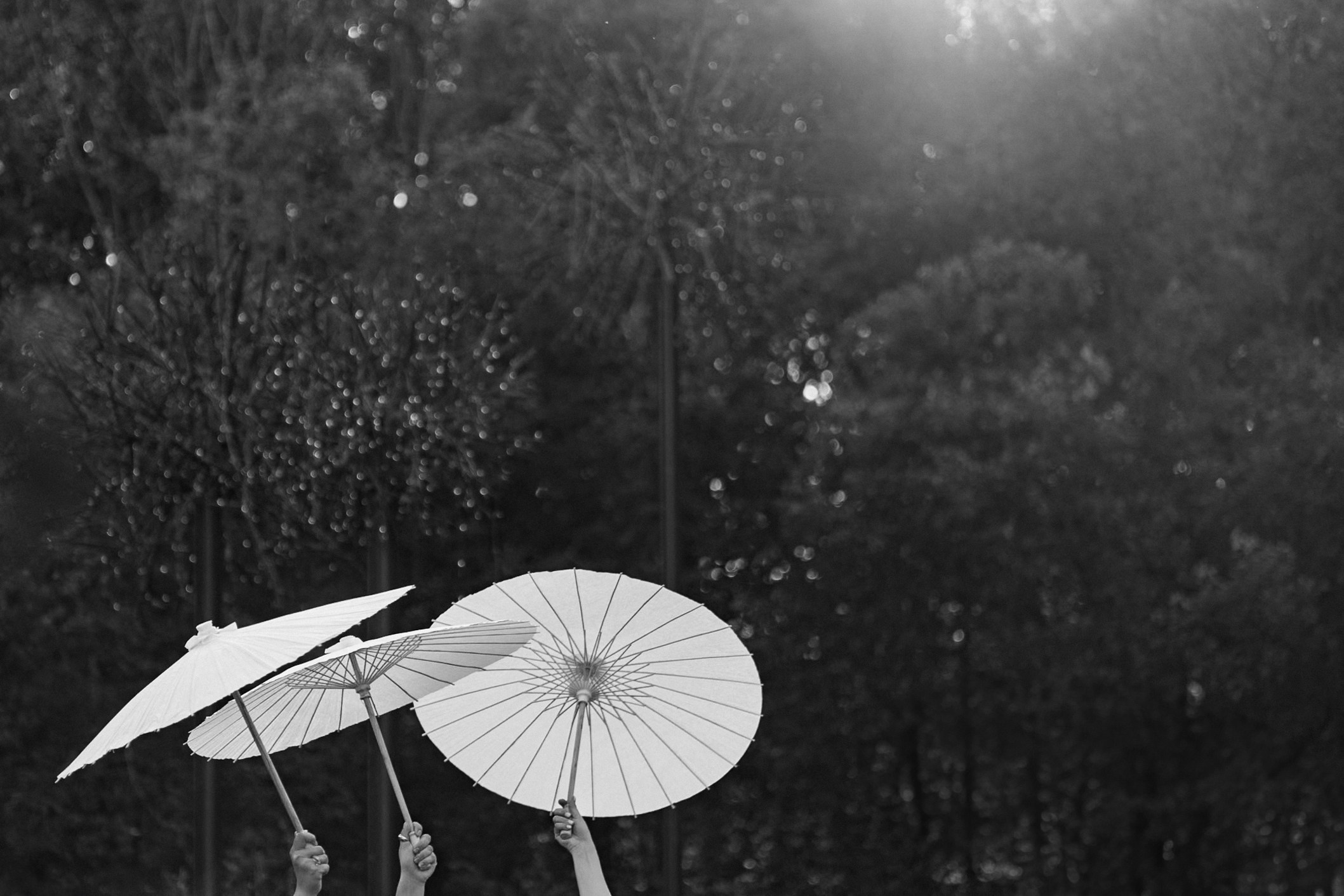 SERIES. Wedding photographer in Europe